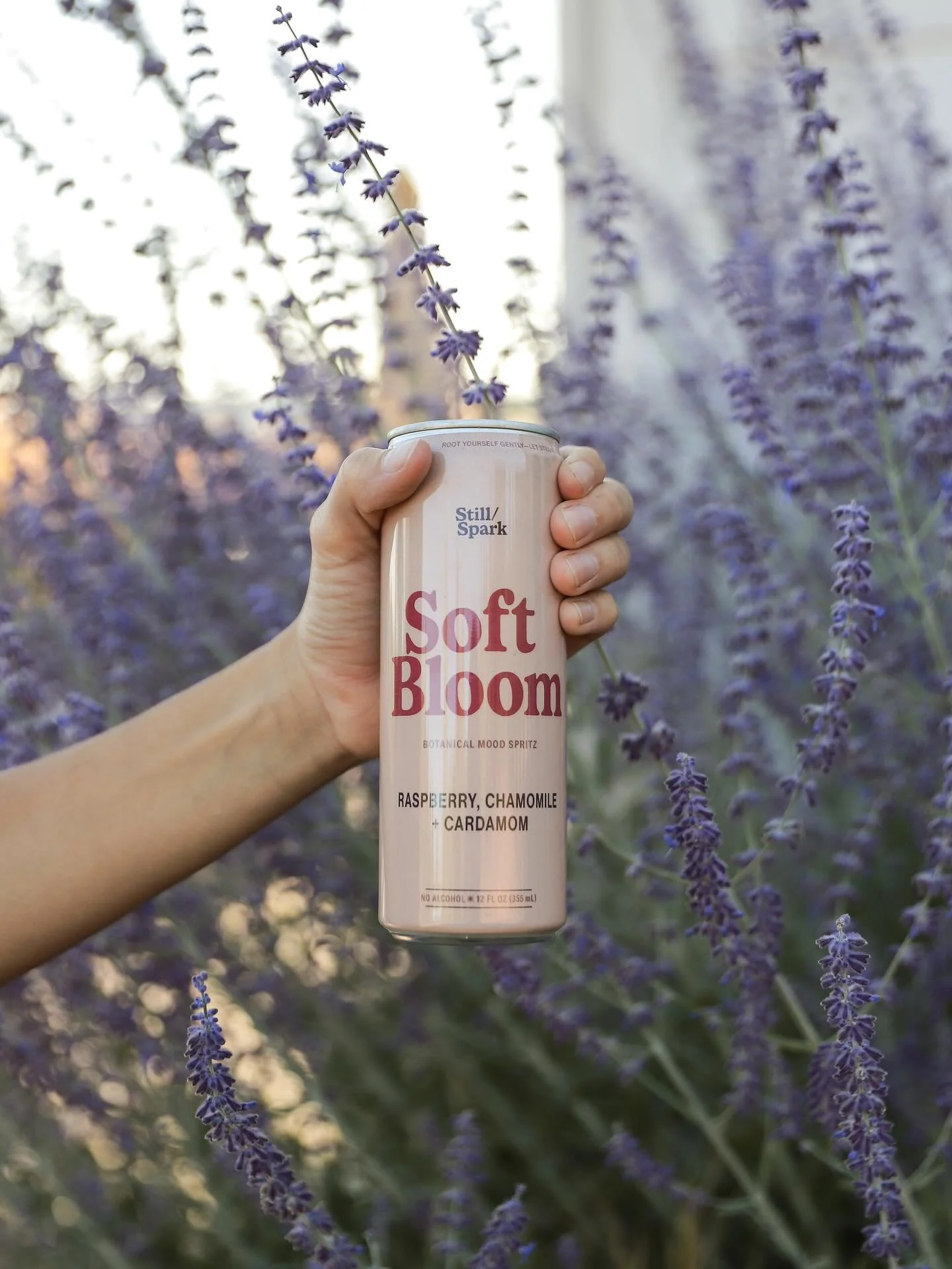 The perfect unwind. Soft Bloom is made for alfresco afternoons, dinner parties on the patio, and quiet evening routines.

Chamomile, lemon balm, and rose soften and soothe the nerves. Cardamom warms. Ceremonial Kava deepens the calm&mdash;relaxed, bu