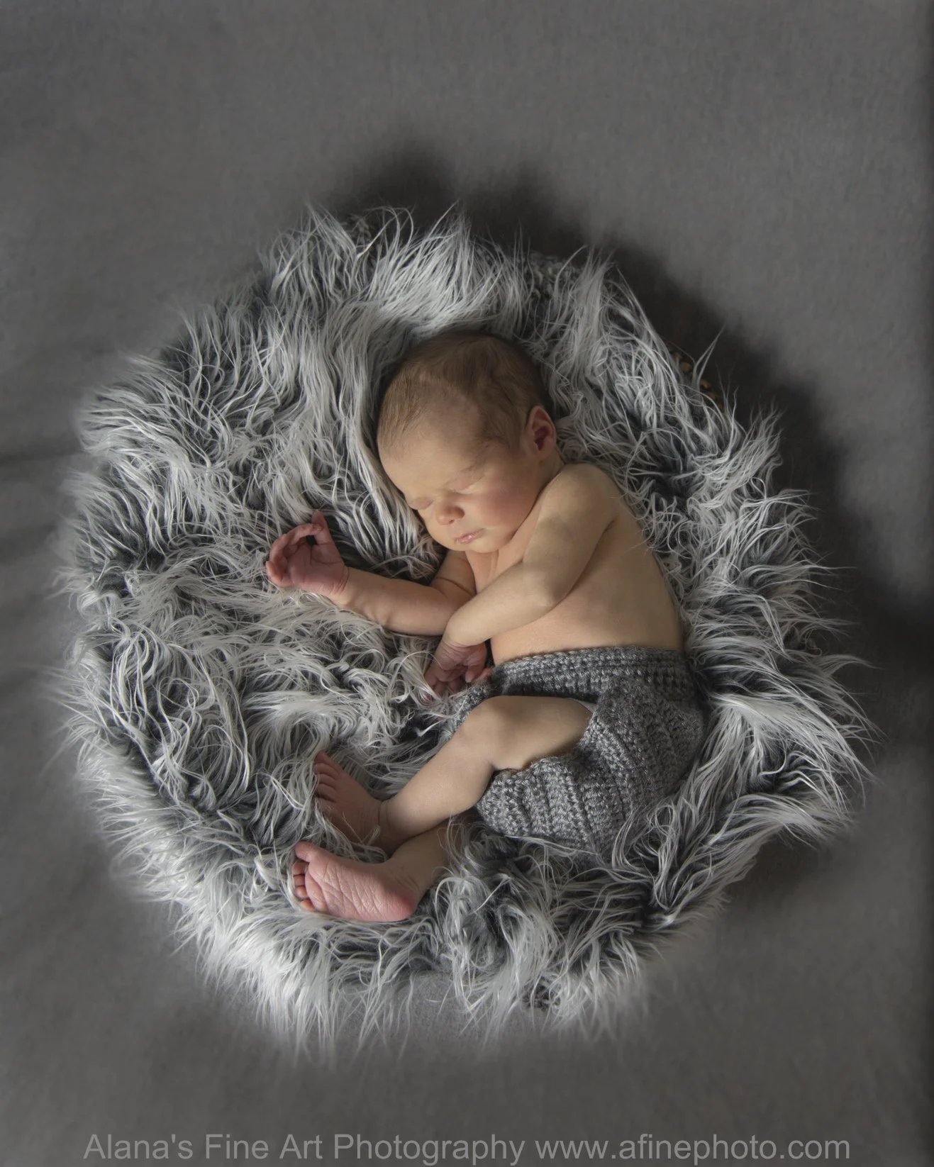 Newborn Gallery