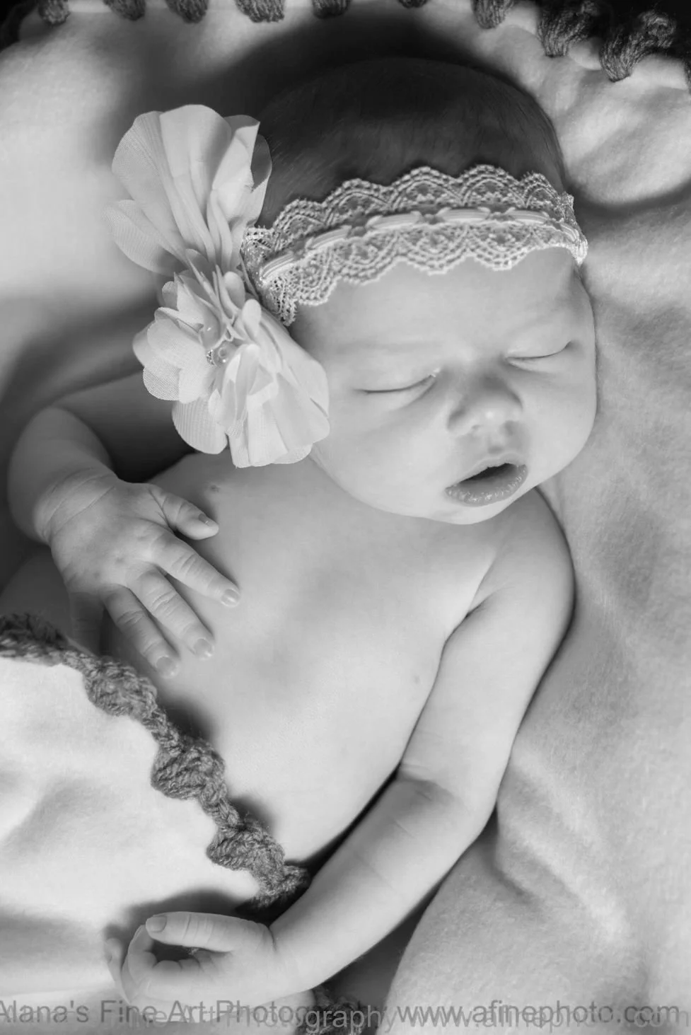 newborn photos studio photography Alana Maine.jpg