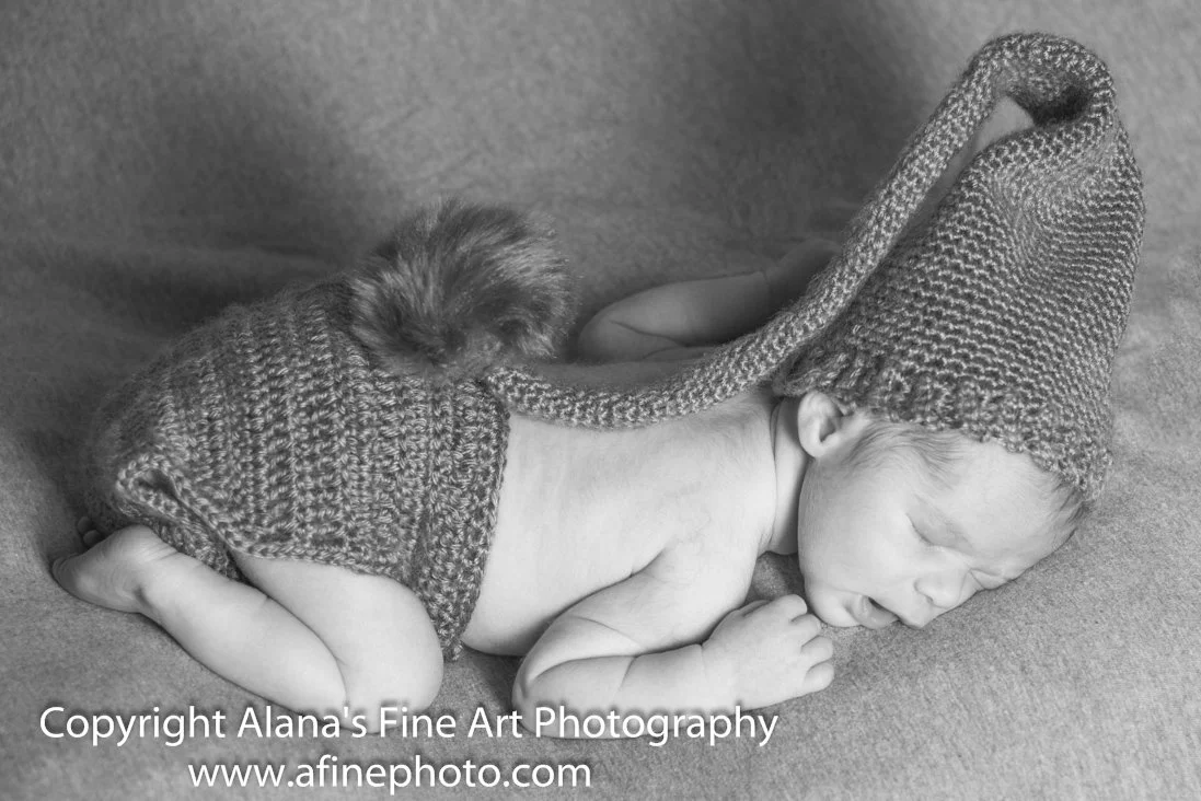 Newborn baby portraits by alana Maine studio photographer.jpg