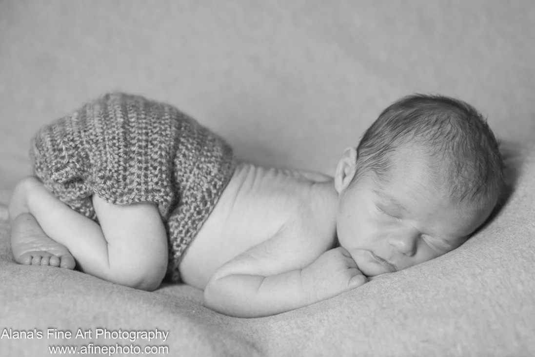 newborn photography Maine photographer