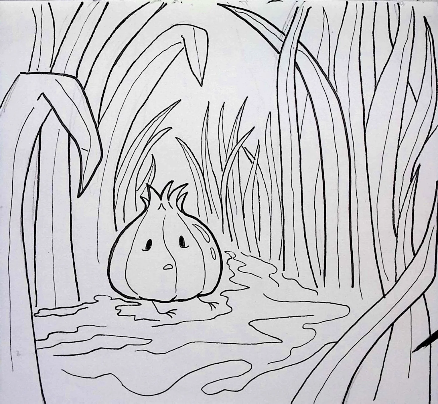 ONION