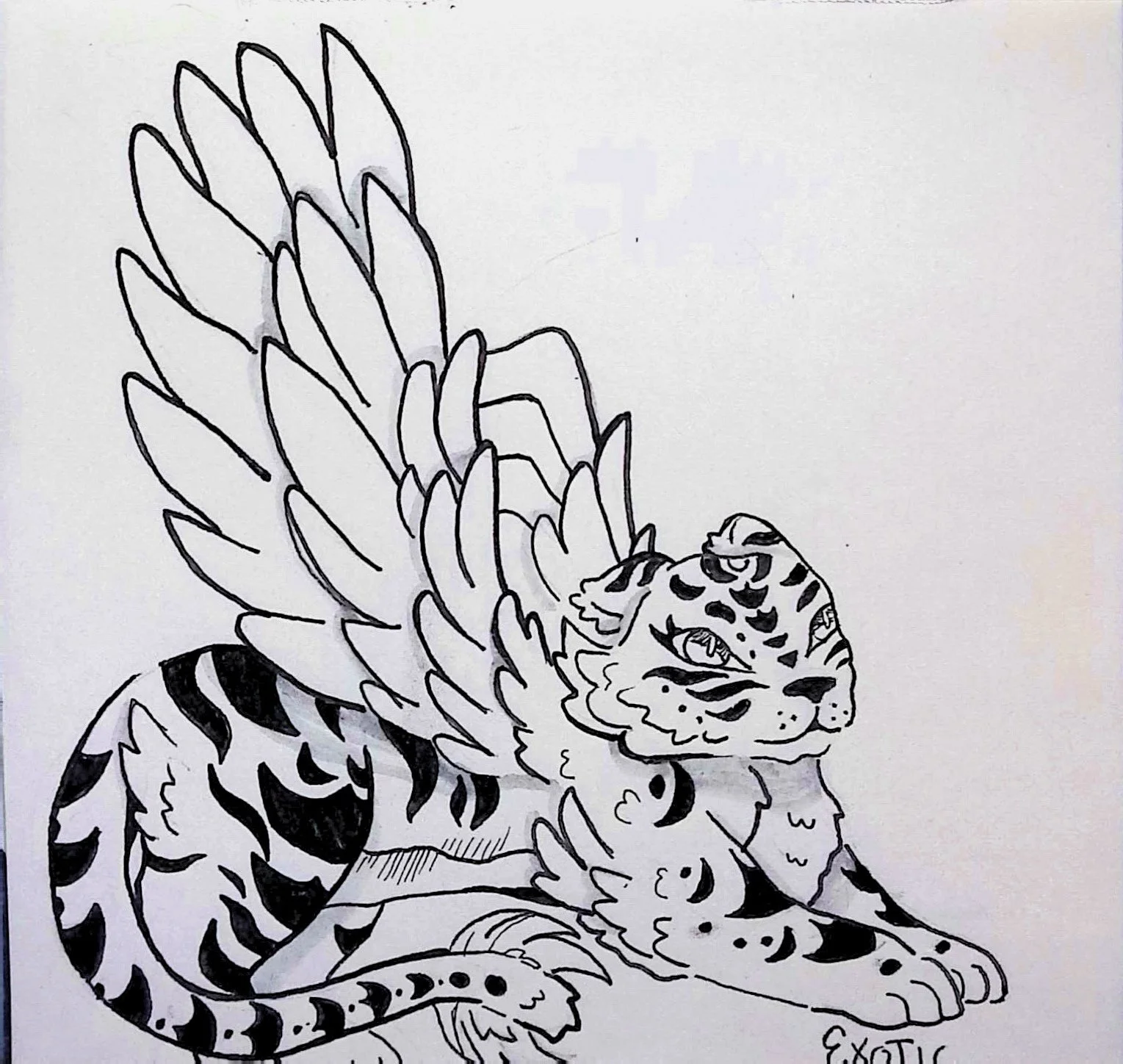4_INKTOBER-24_EXOTIC.jpg