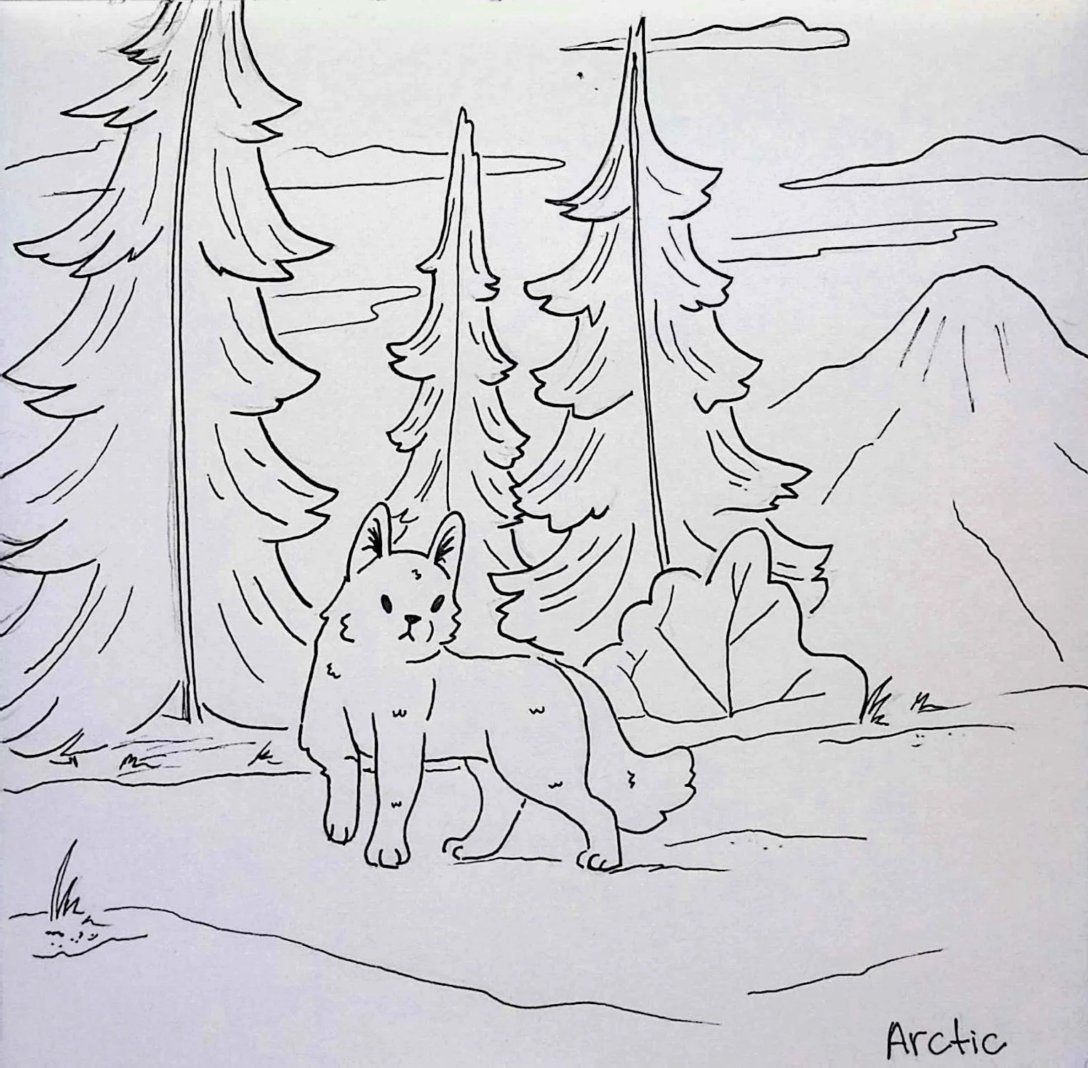 ARCTIC