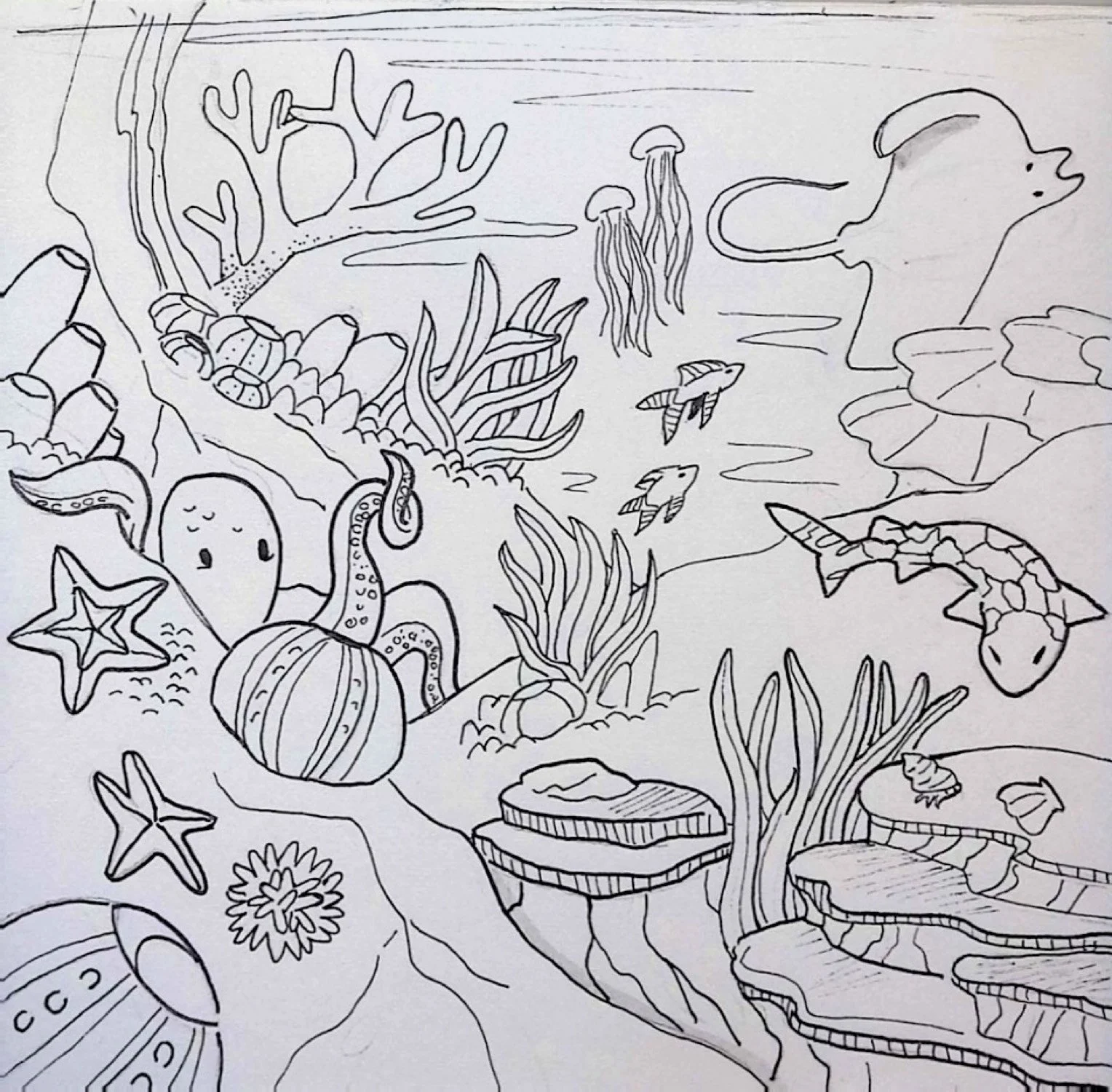 24_INKTOBER-23_SHALLOW.jpg