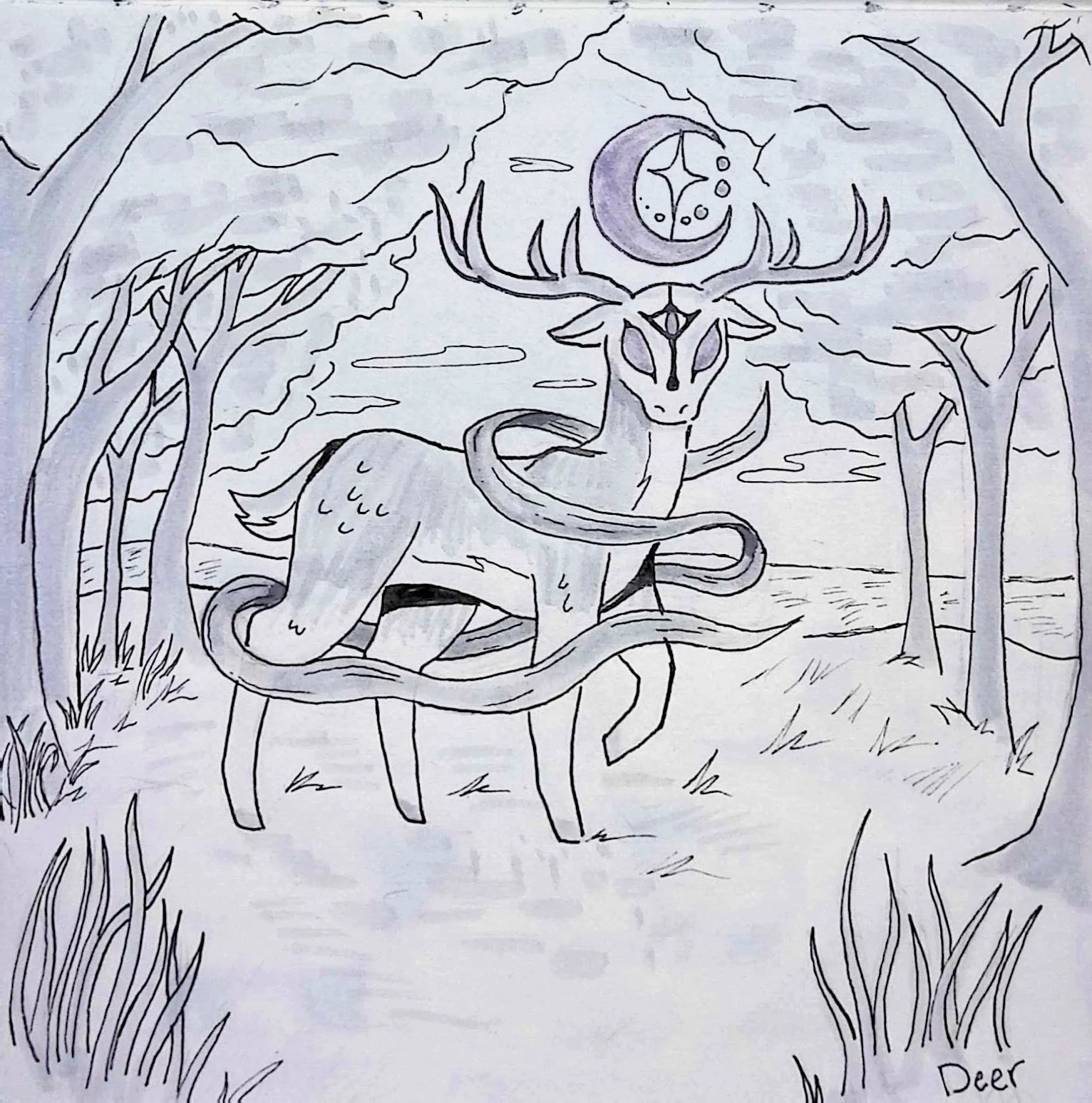 DEER
