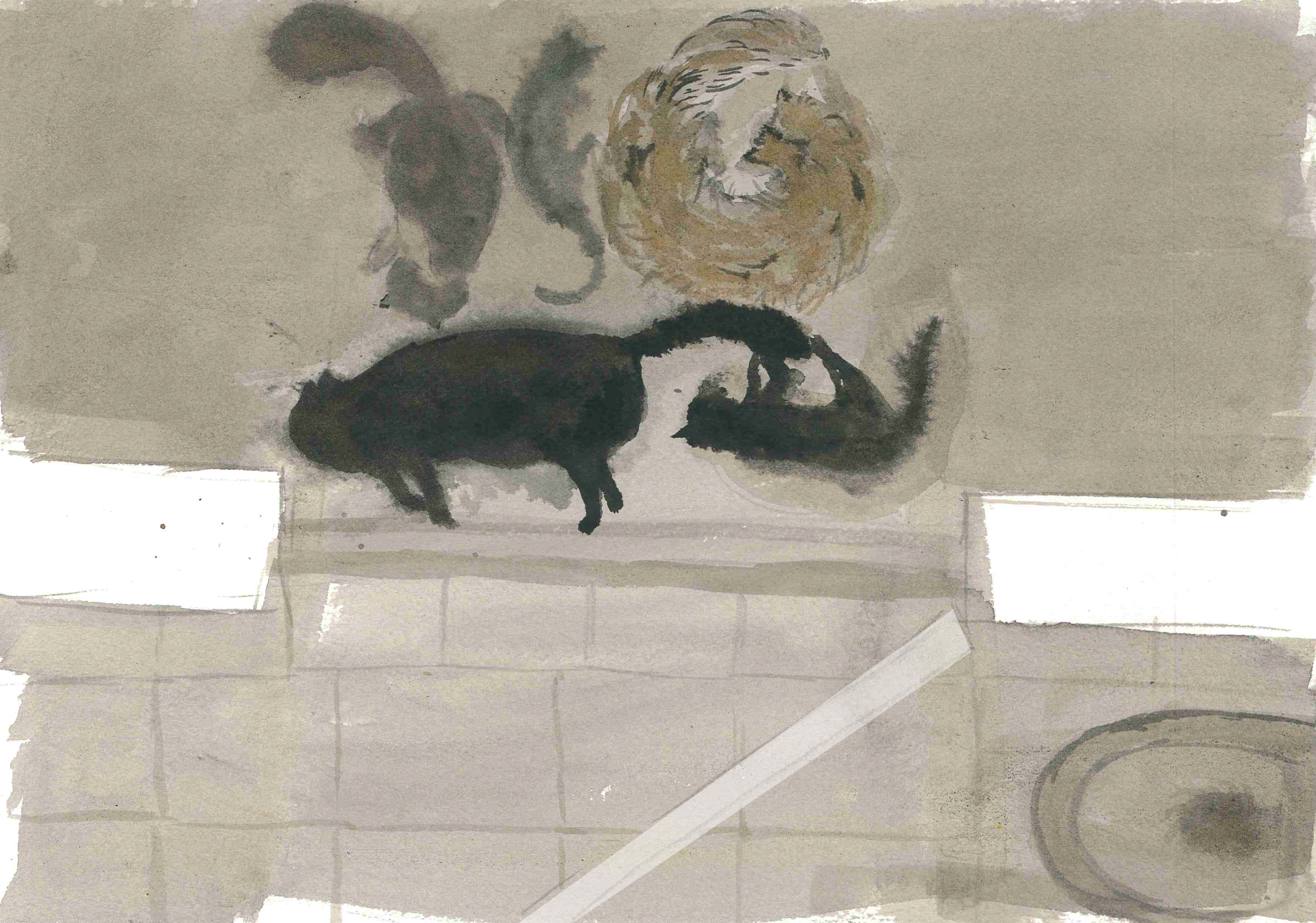 CAT TROUBLE