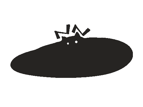 NN LIN