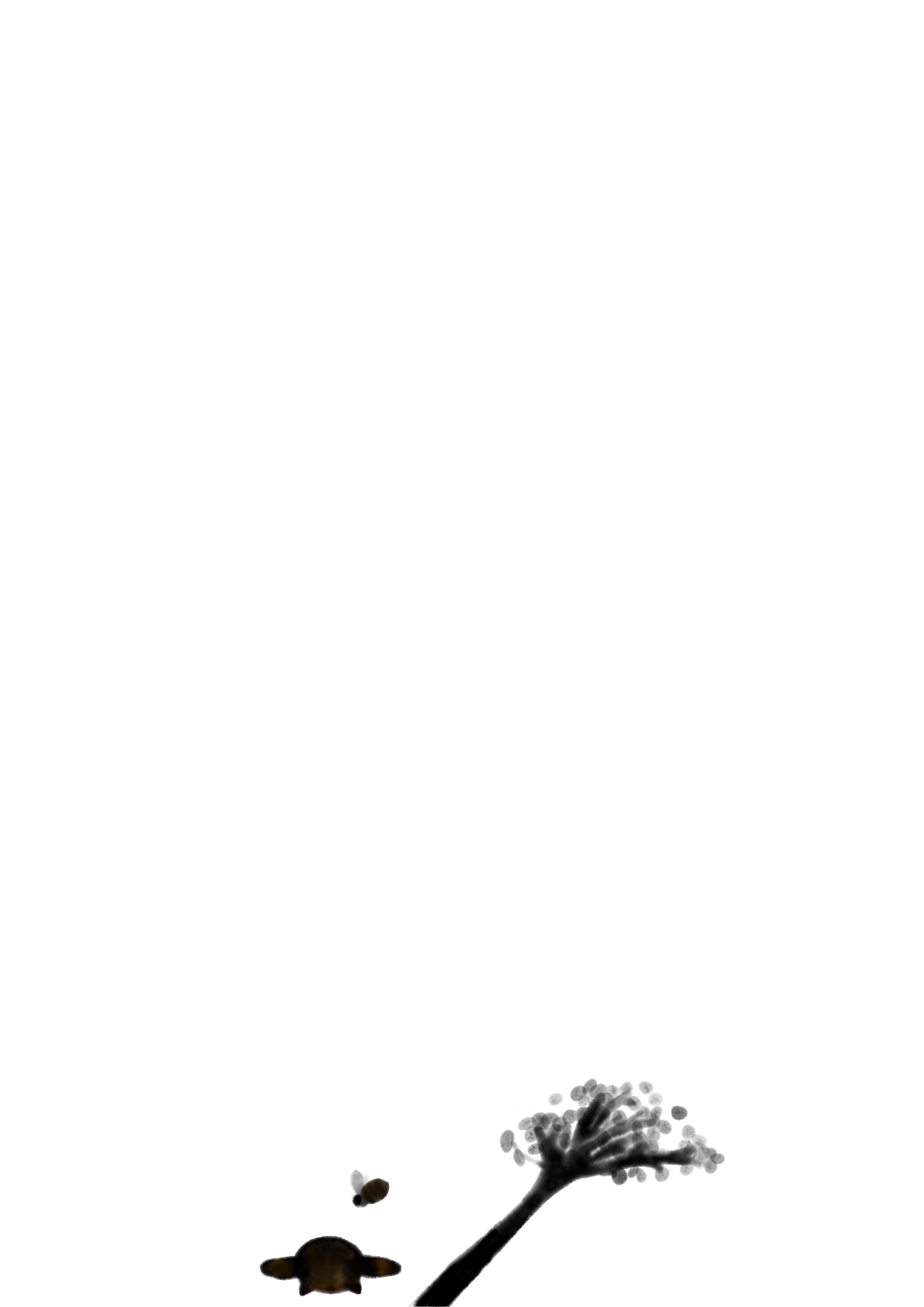 Lindentree 2.png