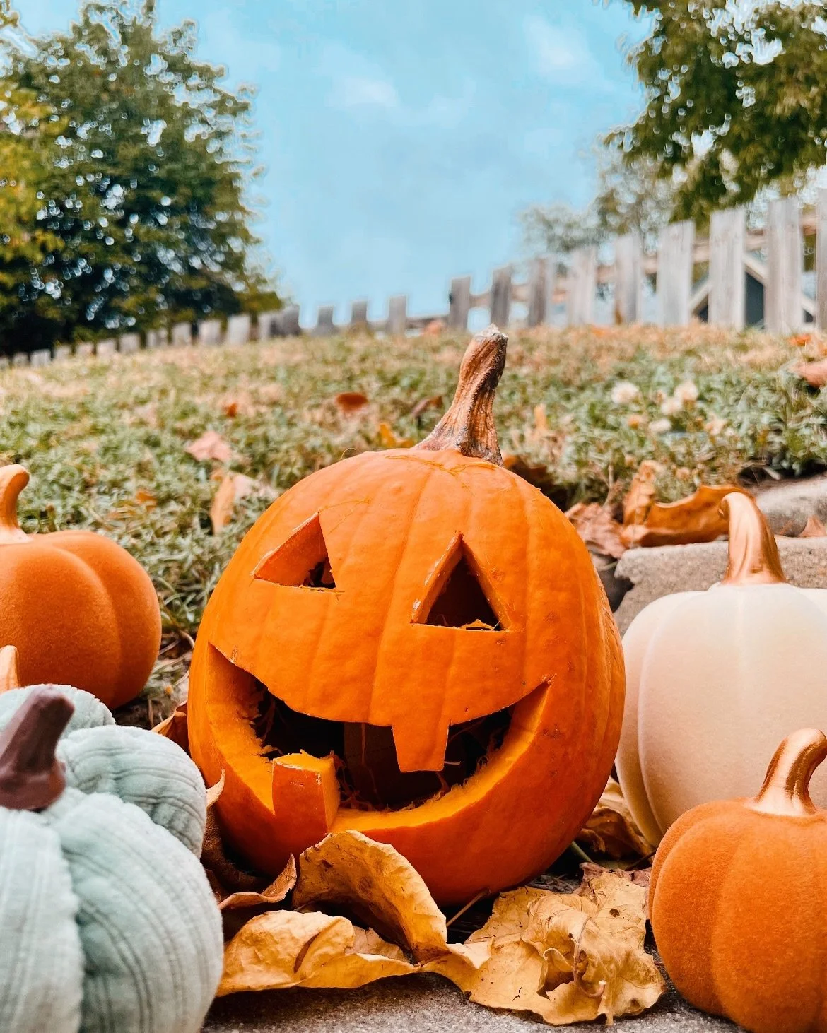 I enchanted a pumpkin! (with the help of the coven). Meet Pumpkenny. 🎃 He likes eating people&rsquo;s intentions and dislikes neglect. ✨ He shall guard my stoop until his eventual death, at which point he shall return to the earth and his pumpkin sp