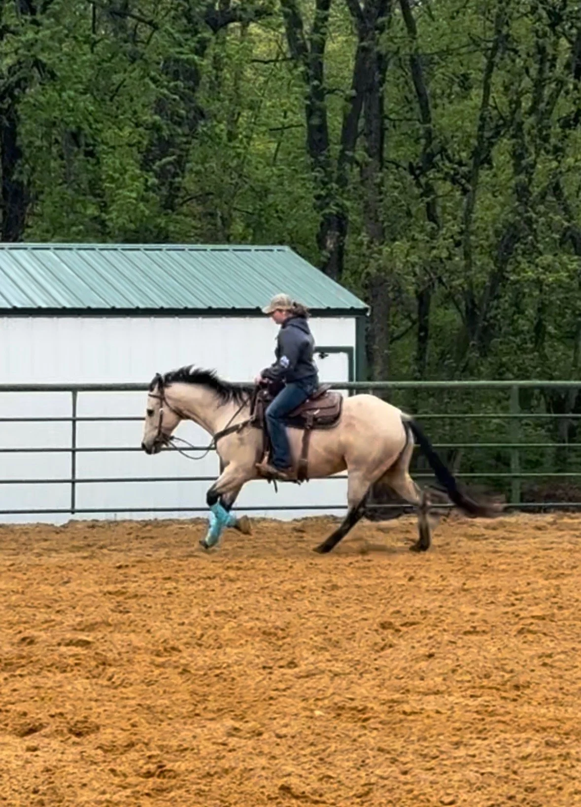 A person riding a galloping horse in a riding arena with trees and a building with a green roof in the background.