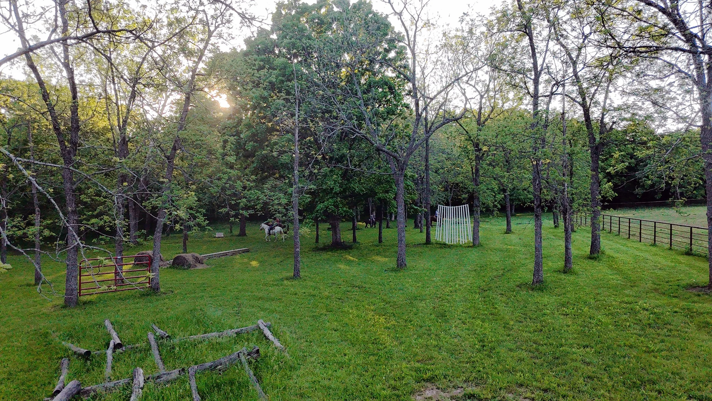A lush green fenced outdoor area with trees, a white modern bench, and two horses grazing in the background. The sun is setting or rising, partially obscured by the trees.