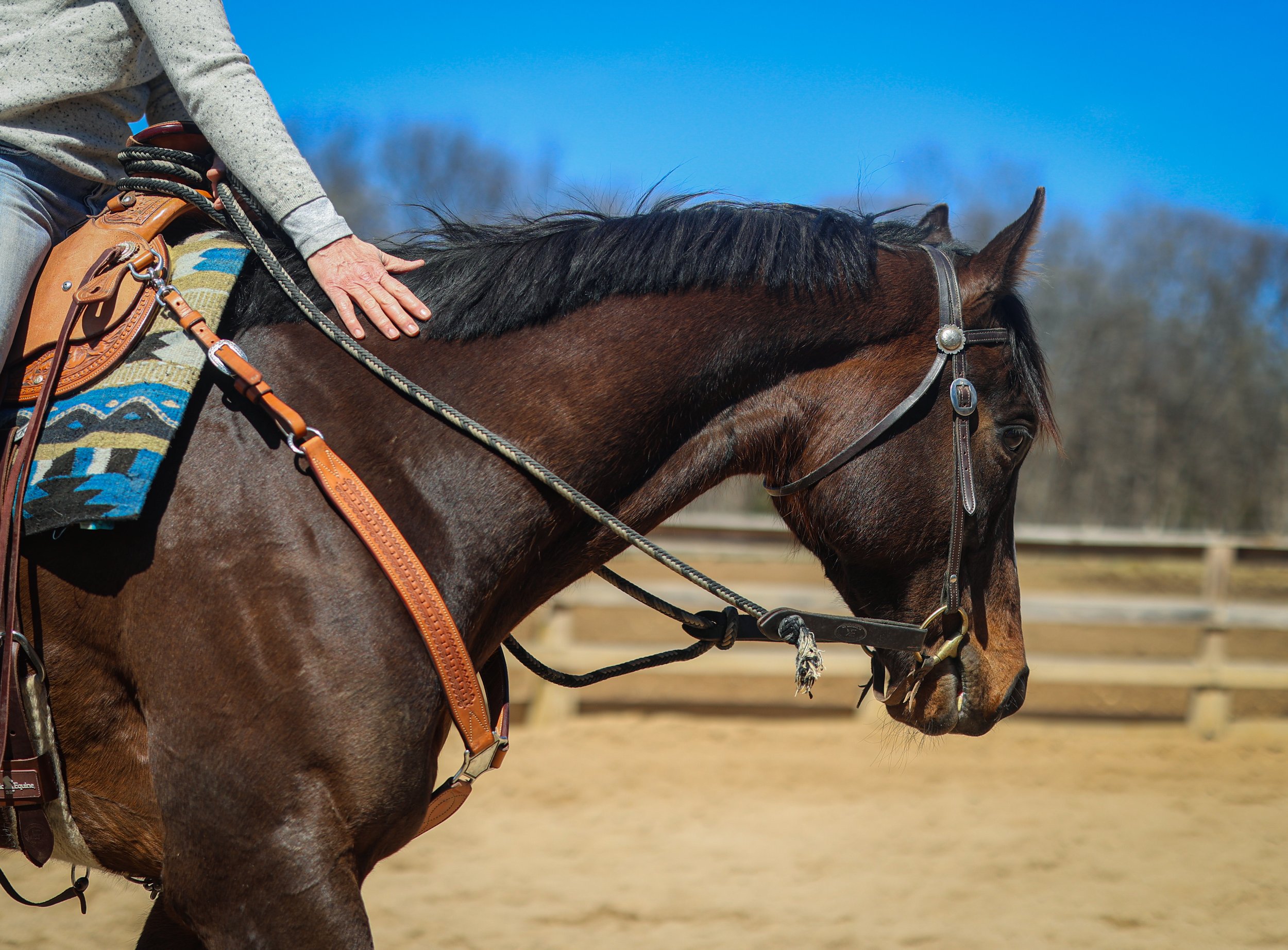 A person riding a dark brown horse with a black mane, outdoors in a sandy arena with a wooden fence and trees in the background, under a blue sky.