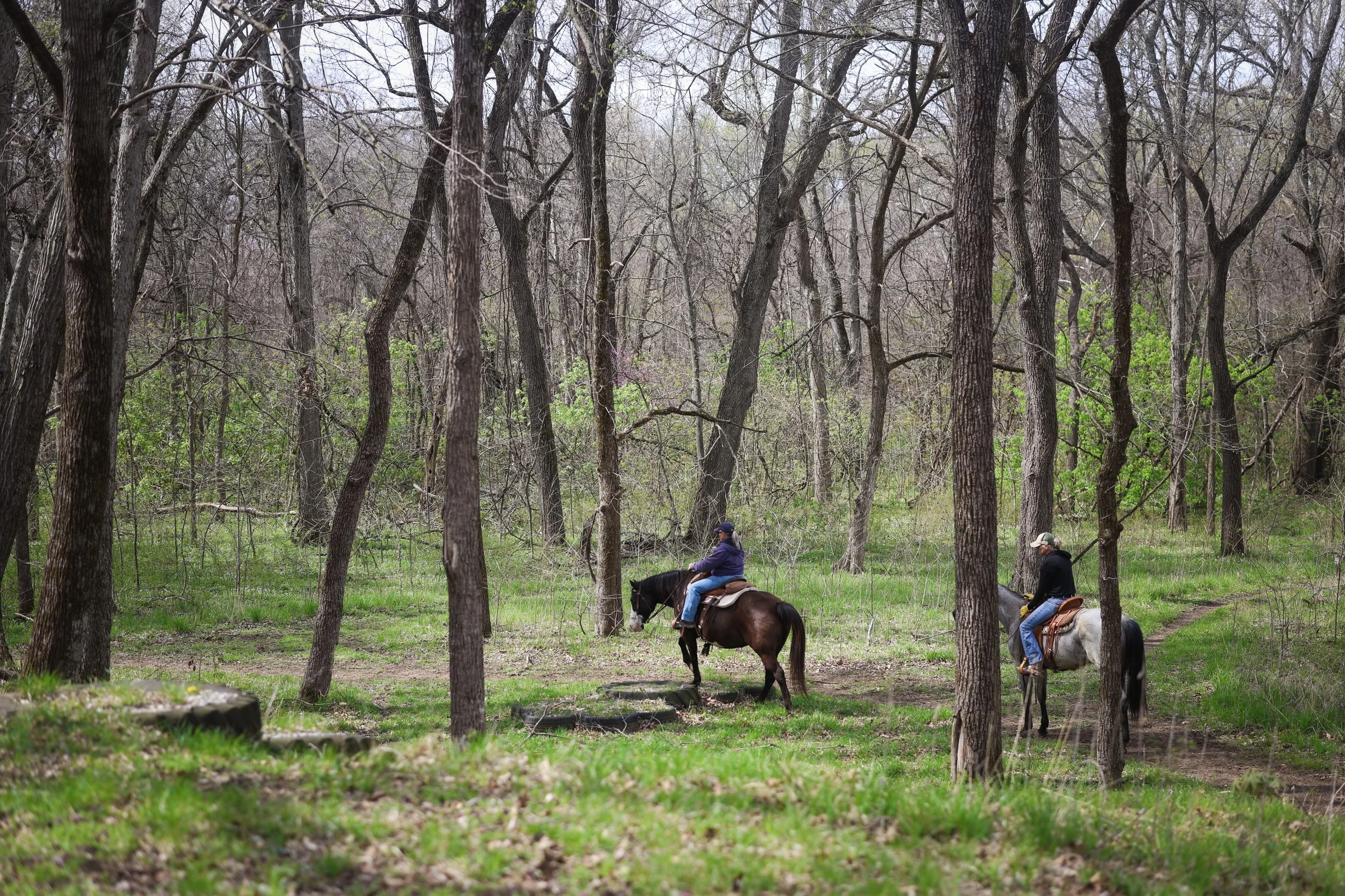 Two people riding horses through a wooded forest area with green grass and leafless trees.