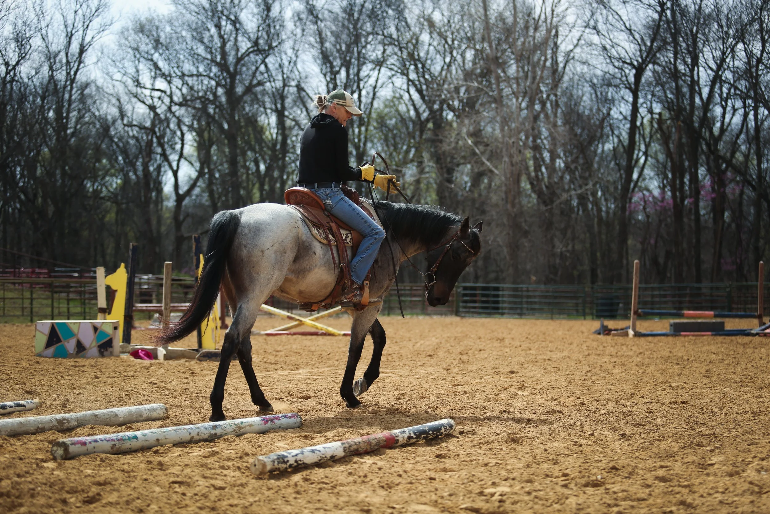 A person riding a horse in an outdoor arena, preparing to jump over poles during a horseback riding training session.