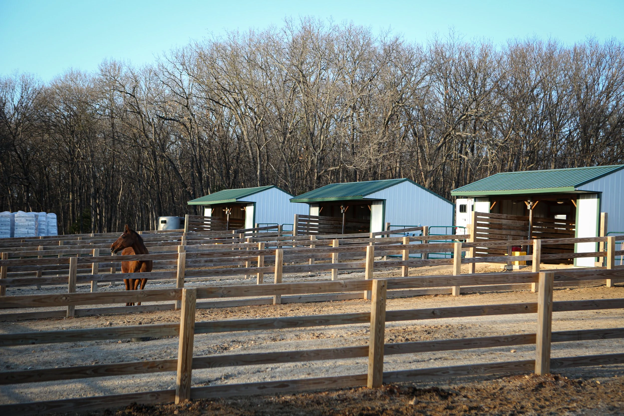 A fenced outdoor horse paddock with three green-roofed shelters and a lone brown horse standing near the fence. In the background, leafless trees line the horizon under a clear blue sky.