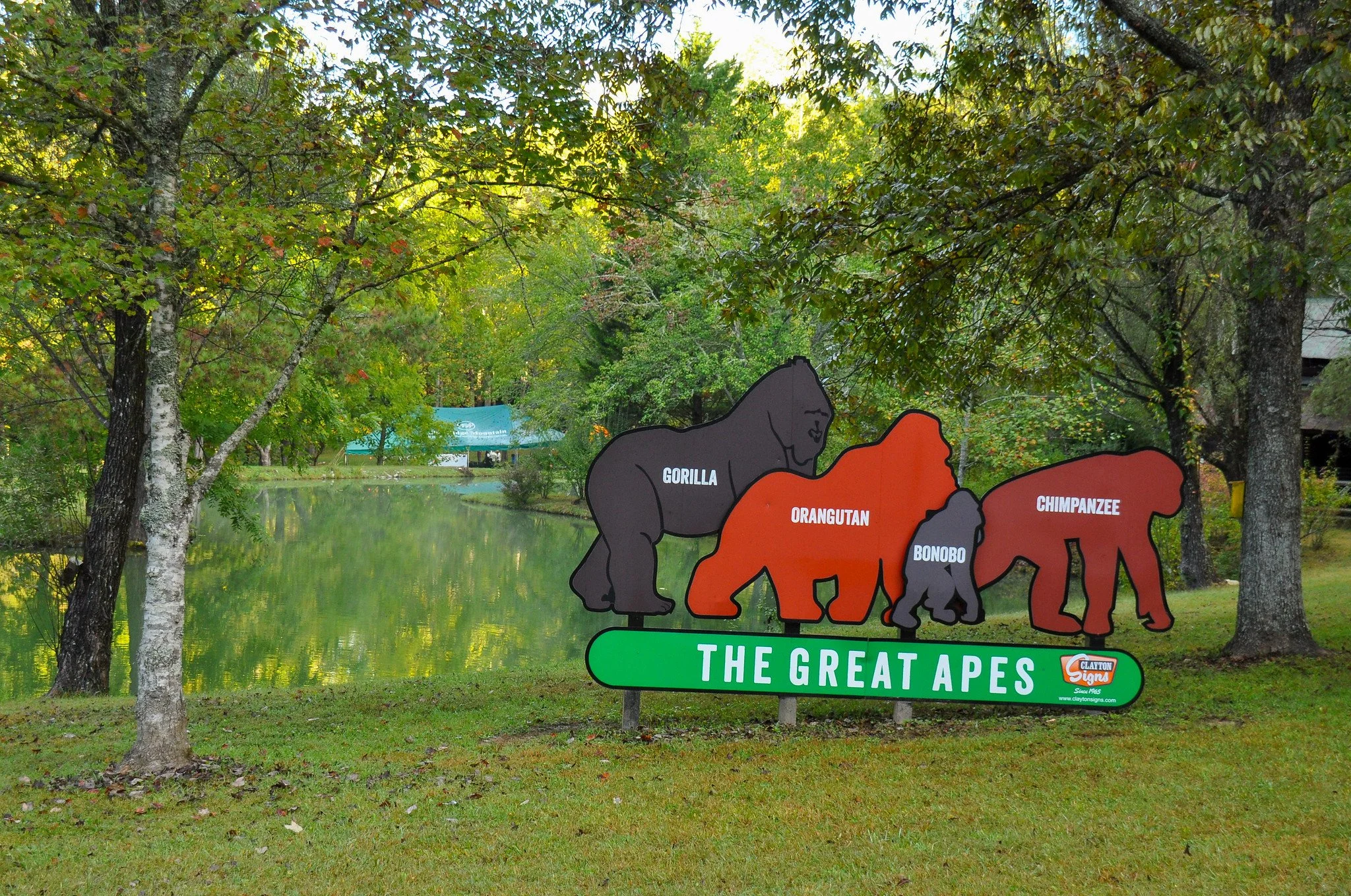 The-Great-Ape-Escape-5kish-10042025-320