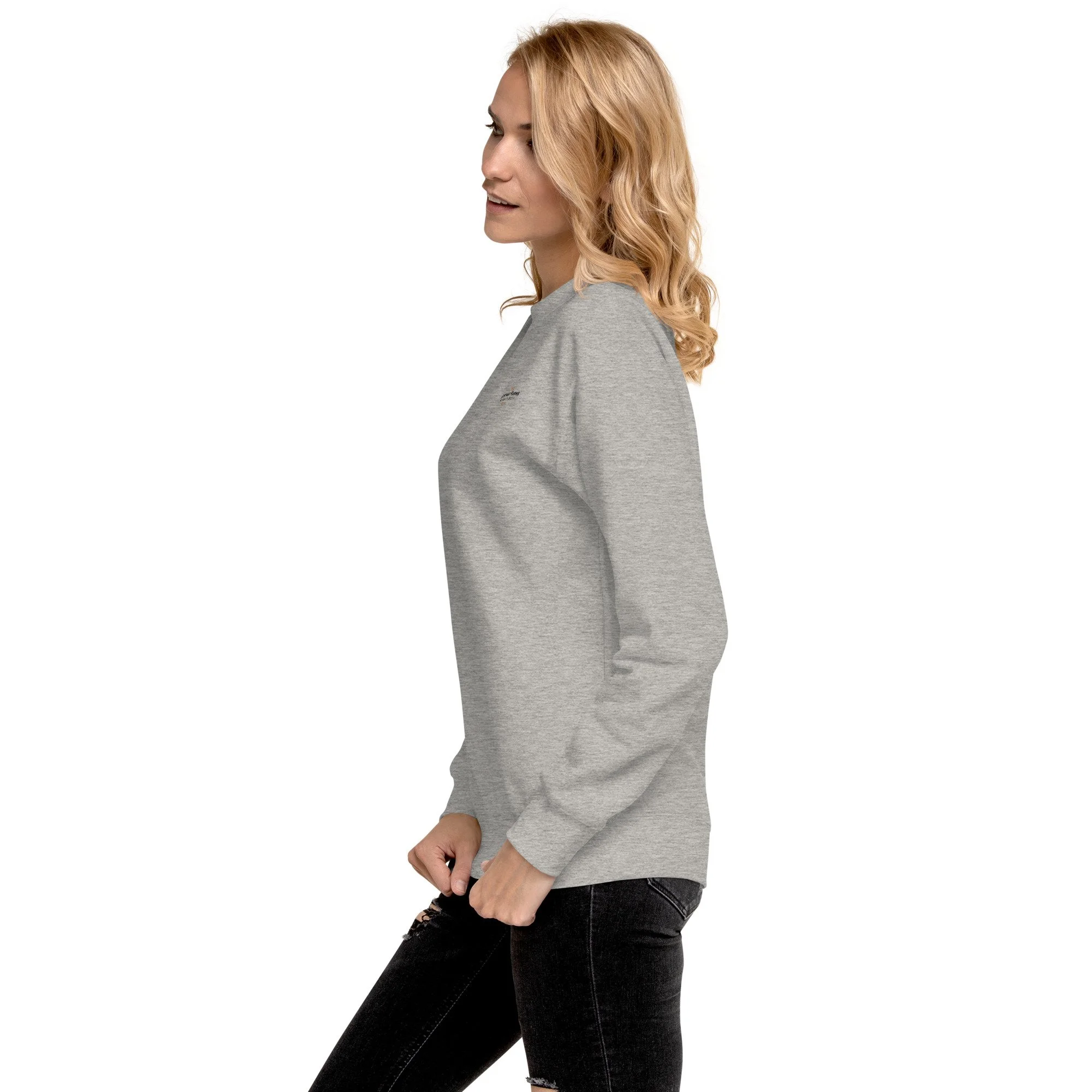 unisex-premium-sweatshirt-carbon-grey-left-693e727c7eb52.jpg
