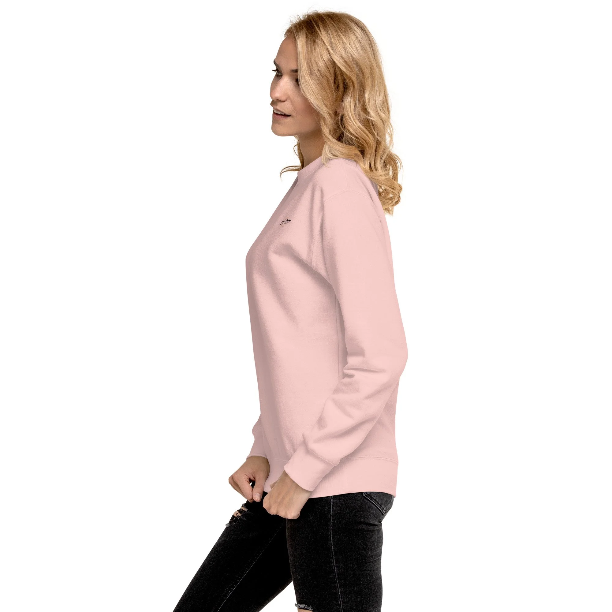 unisex-premium-sweatshirt-light-pink-left-693e727cb362b.jpg