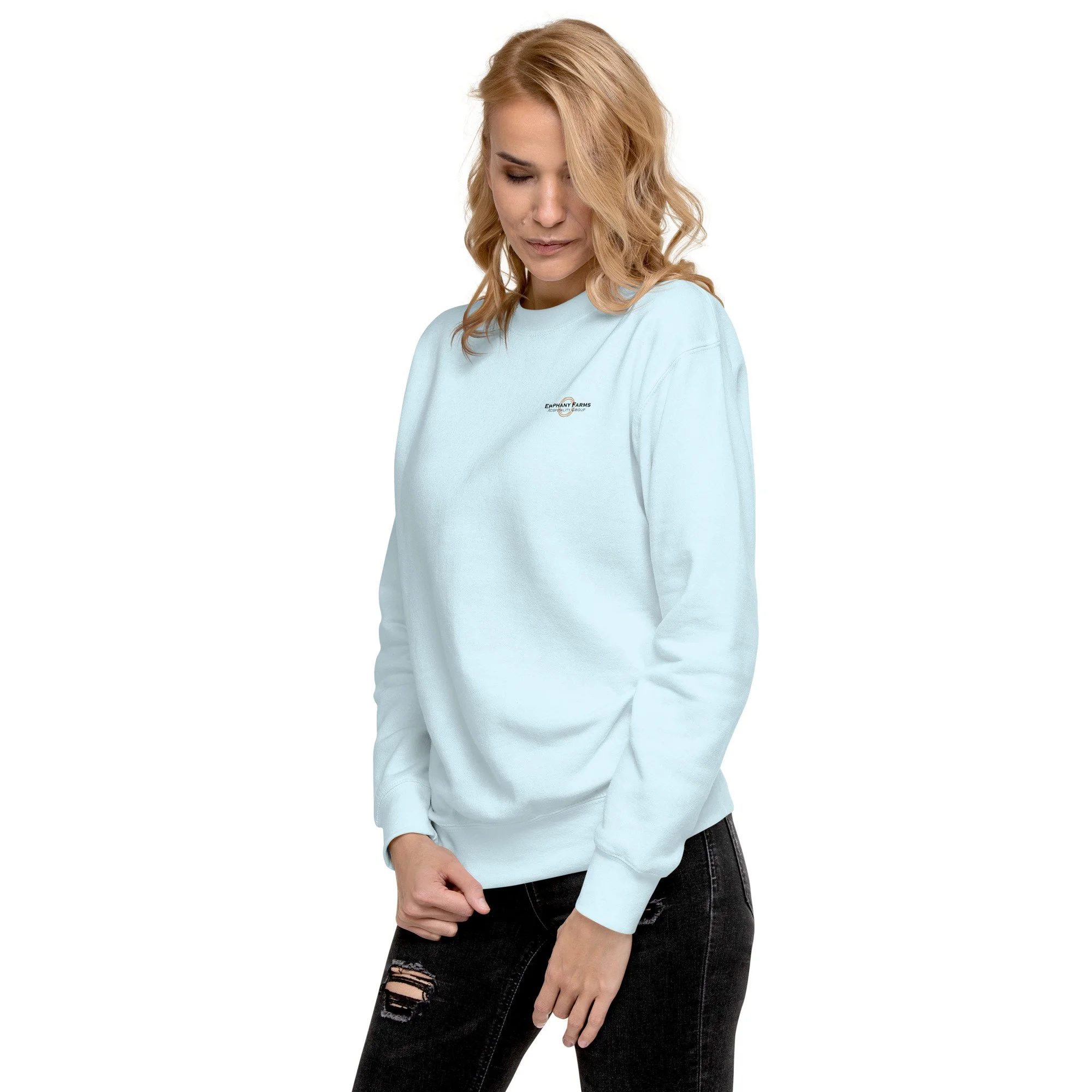unisex-premium-sweatshirt-sky-blue-left-front-693e727d39e05.jpg