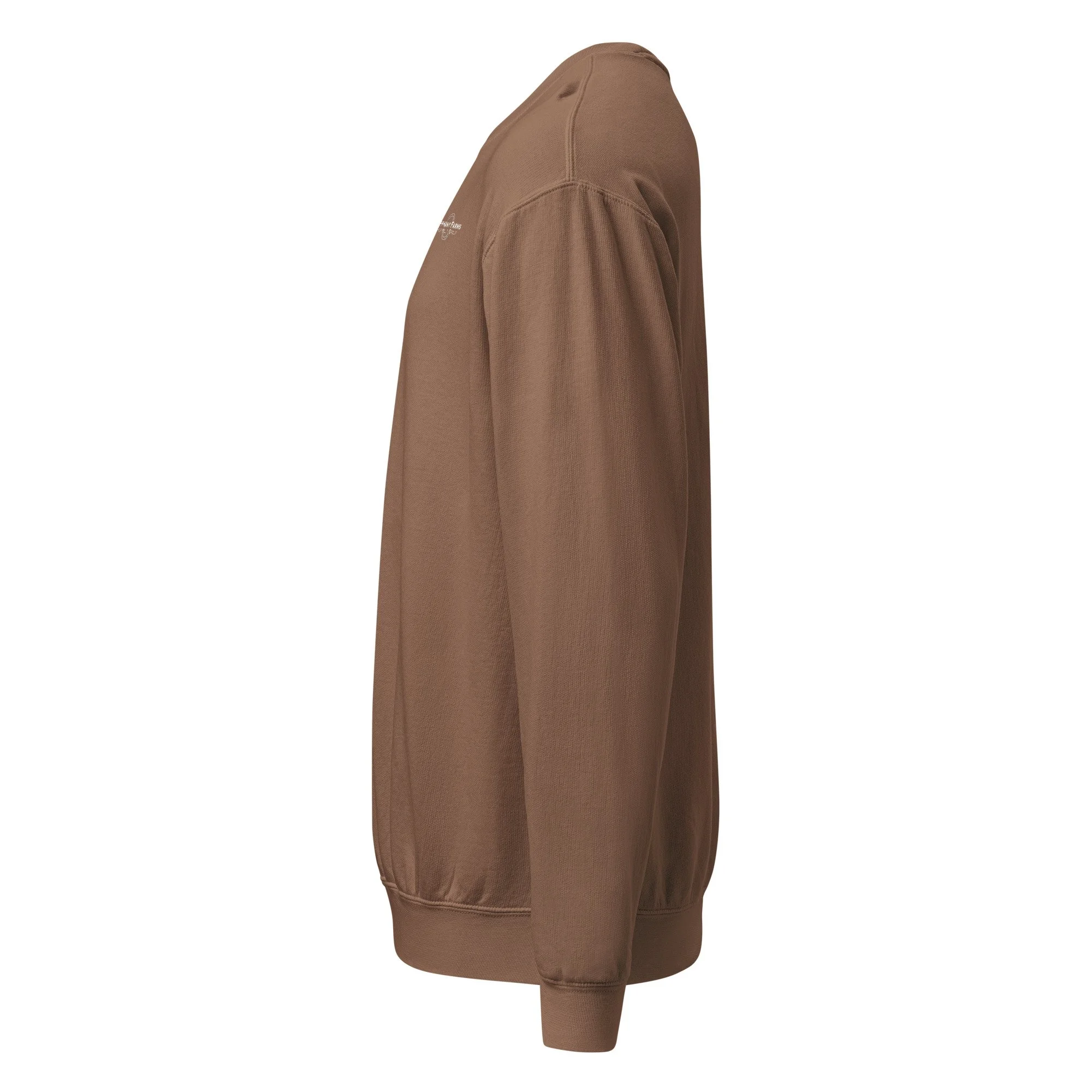 nt-dyed-lightweight-fleece-crewneck-sweatshirt-i-comfort-colors-1466-espresso-left-693e758000b95.jpg