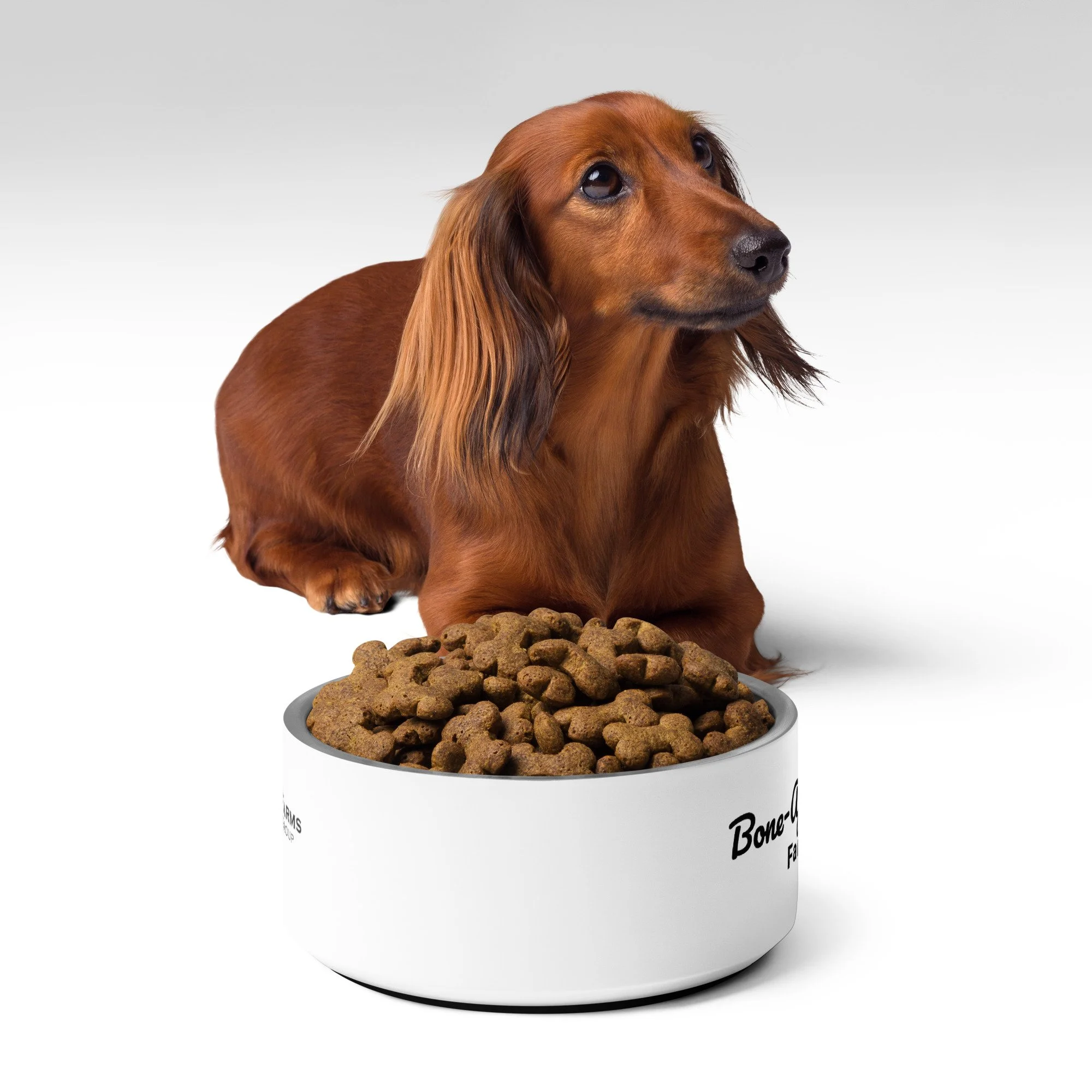 pet-bowl-white-32-oz-front-69e27f354ea39.jpg