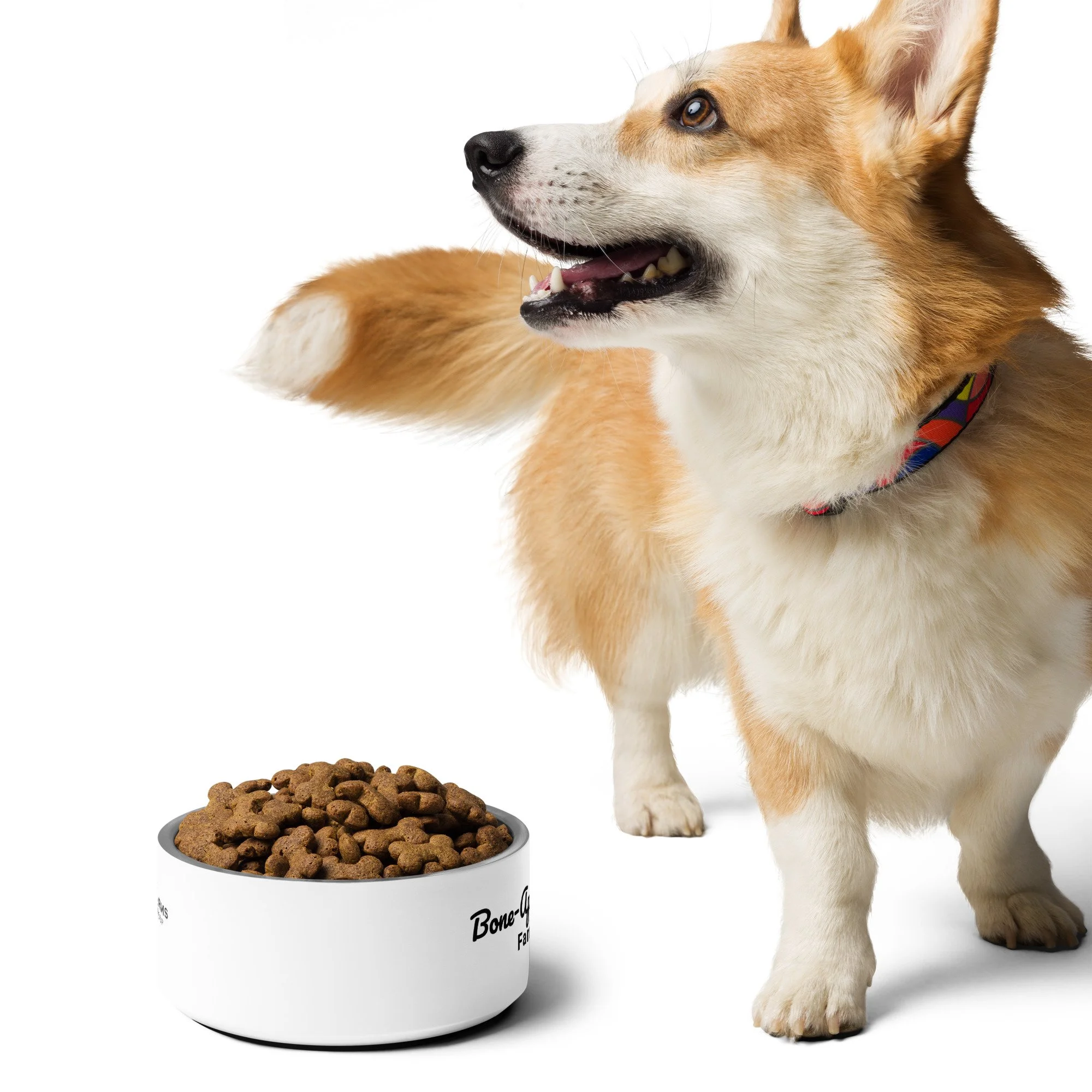 pet-bowl-white-32-oz-front-69e27f354ead4.jpg