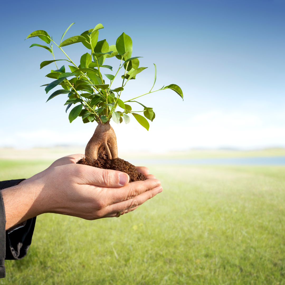 Begin Again: It’s Never Too Late To Find Purpose and Healing