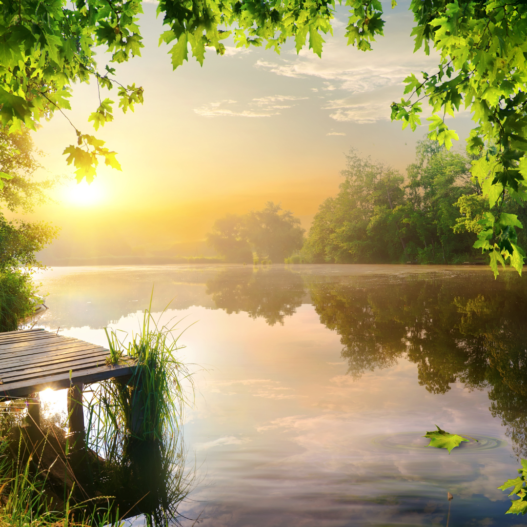 There’s A Reason: A Reflection For Difficult Times