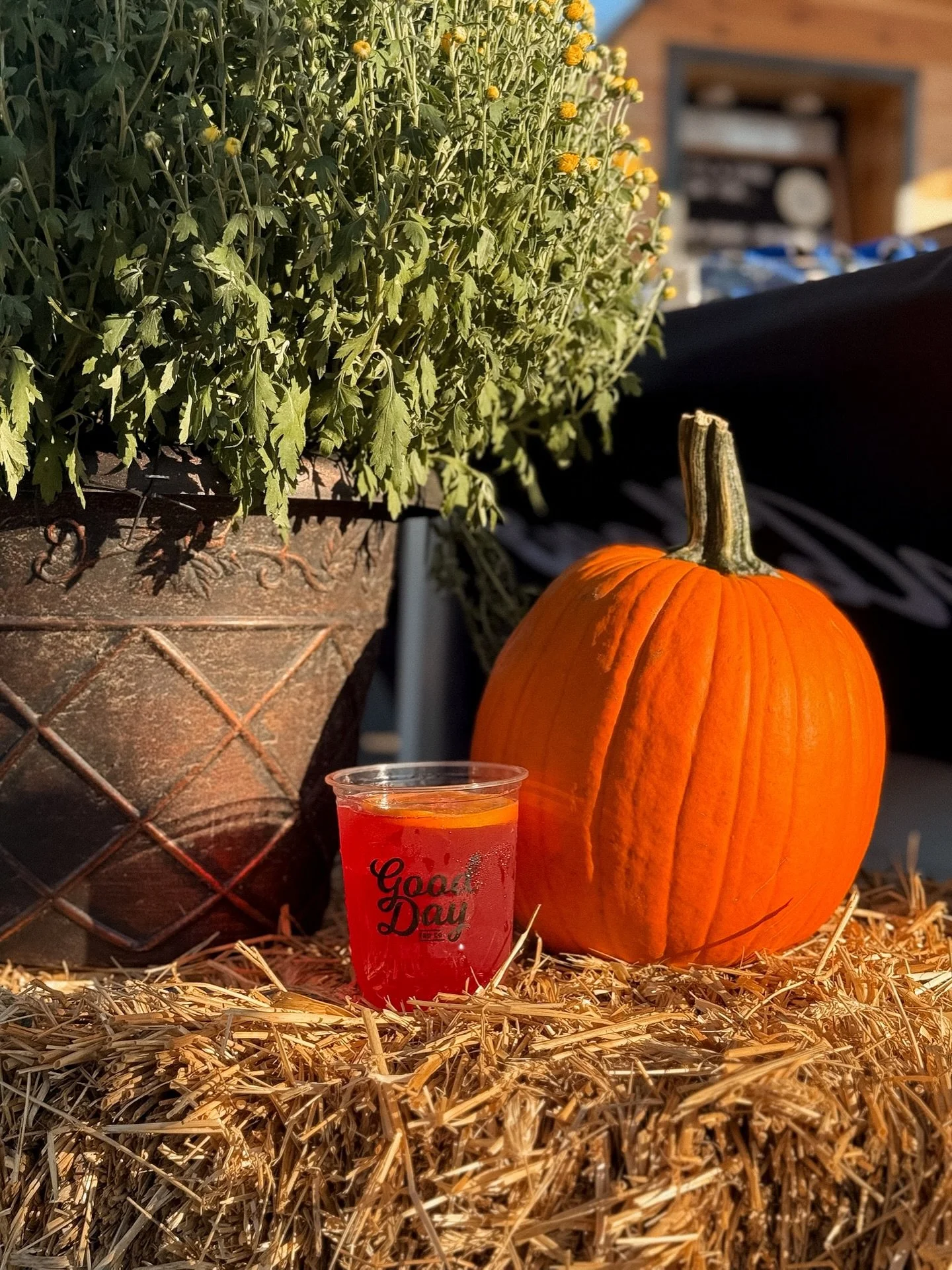 Sippin&rsquo; into sweater weather! It may still feel like summer, but we&rsquo;re pouring the coziest fall cocktails &mdash; apple, spice, and everything nice on tap. 🍎🏈🍺 🍂
