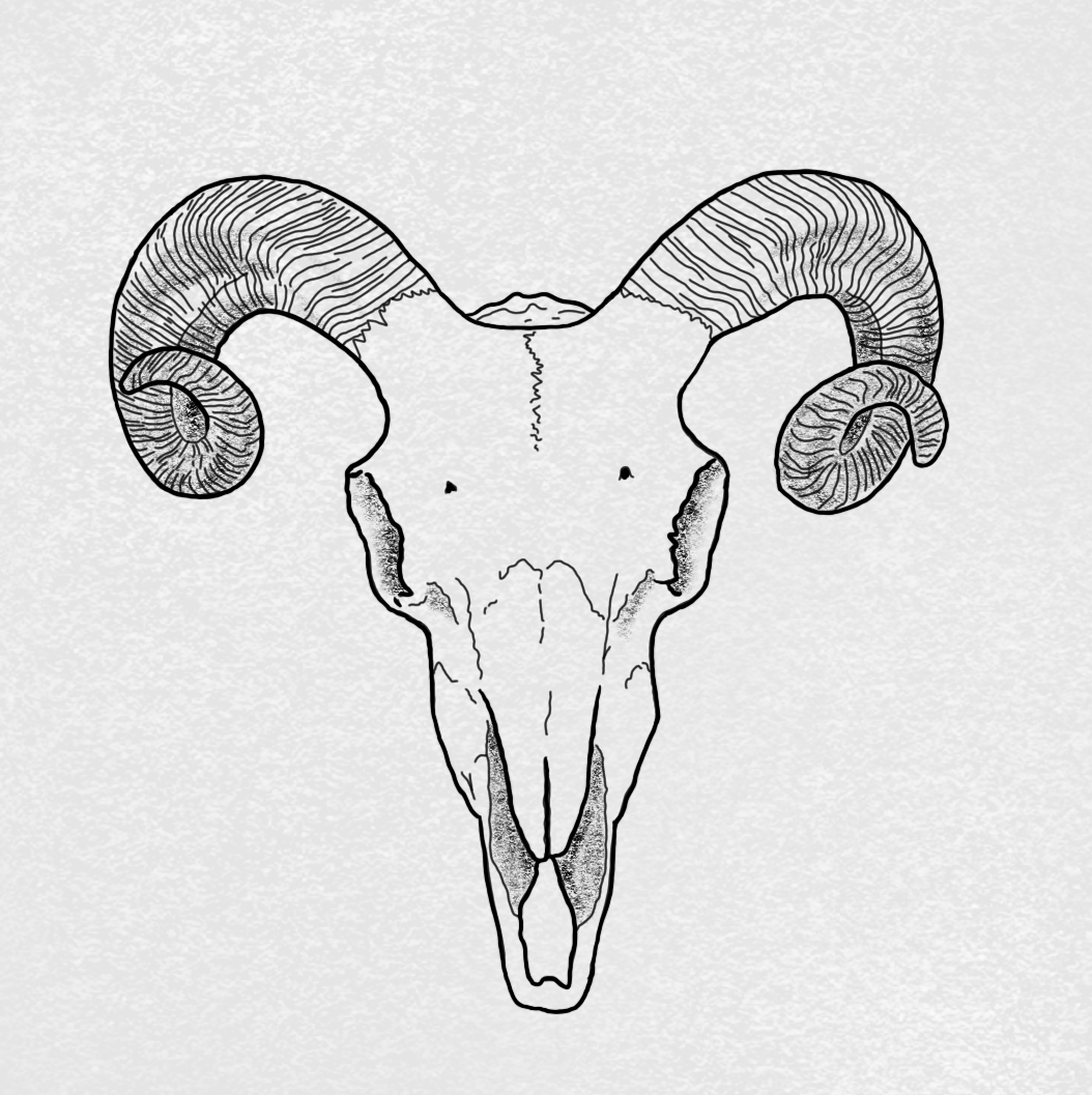 Untitled_Artwork 12.png