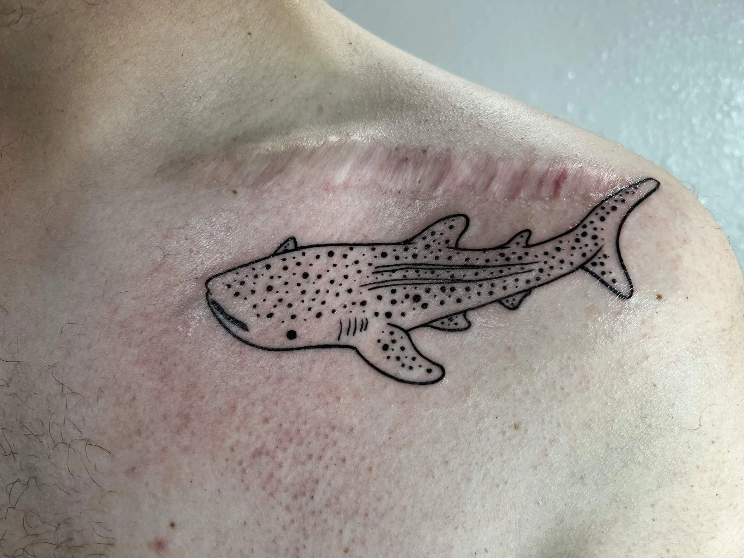 A tattoo of a whale shark on skin with redness and small cuts or scars around it.