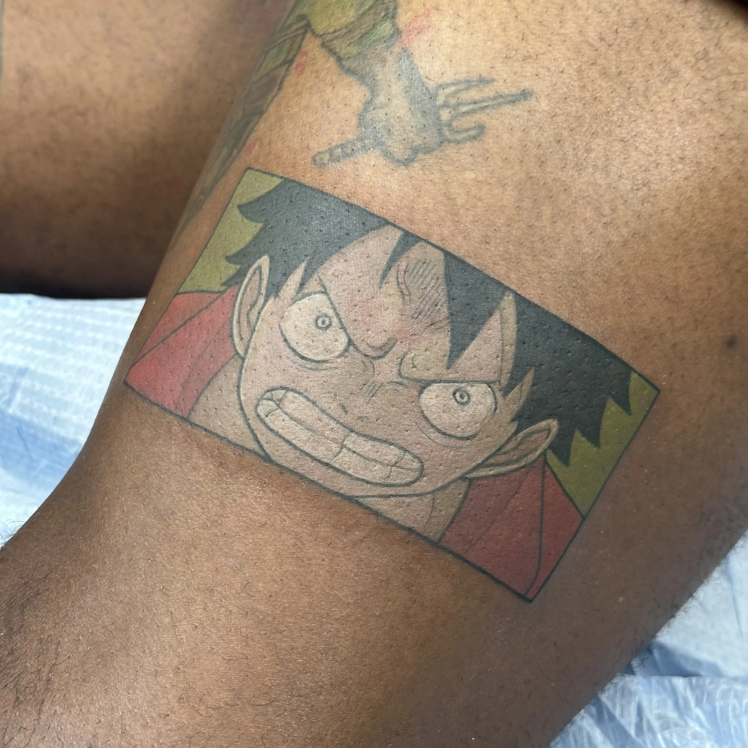 Luffy~ One Piece
