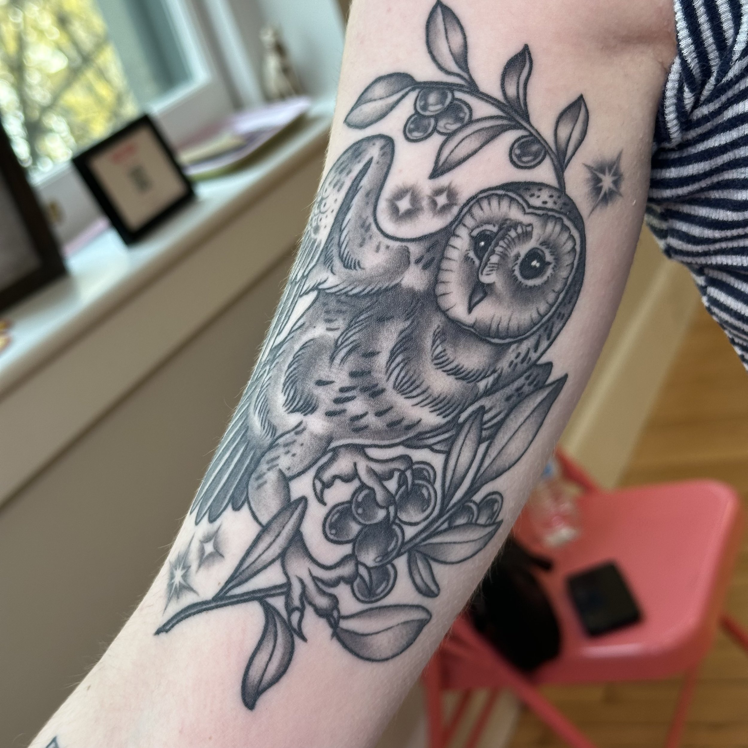 Healed Owl