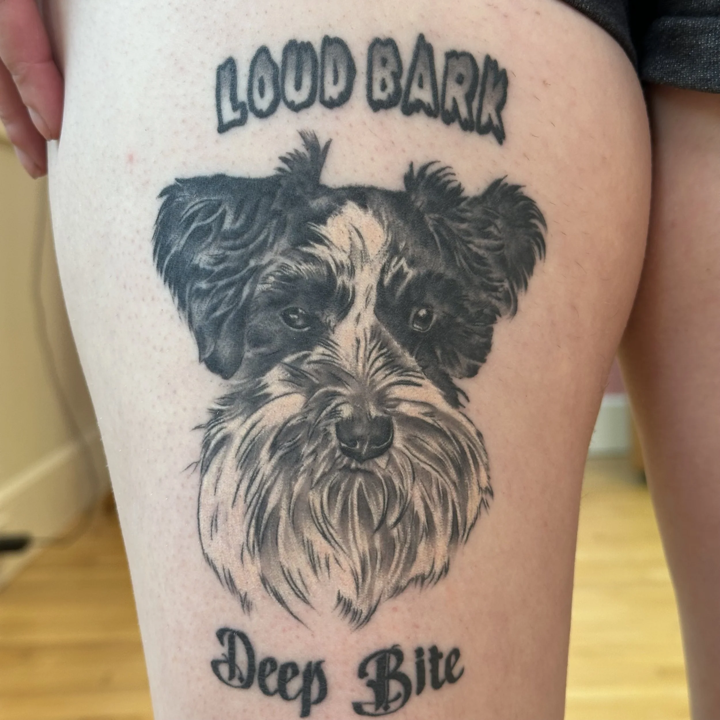 Healed Dog Portrait