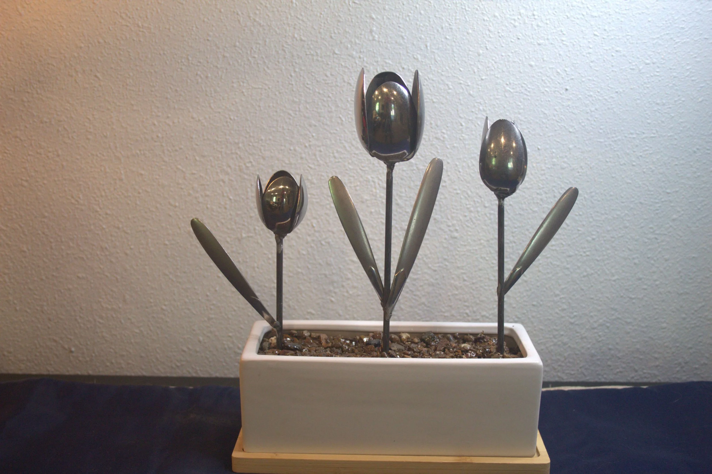 tulips_1.jpg