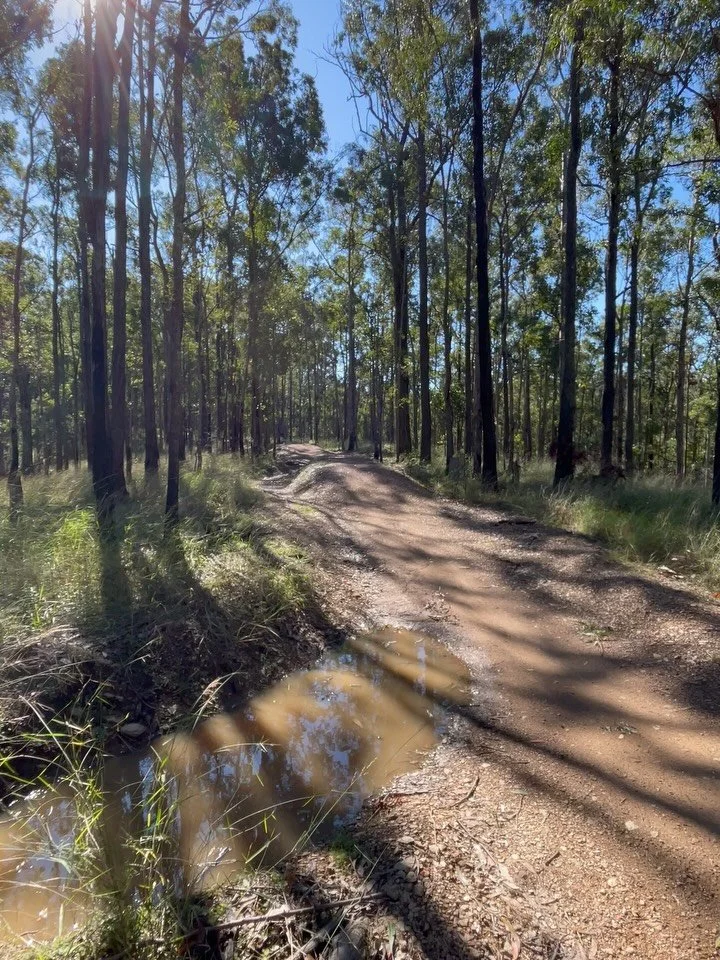 Month of July. My cup is full 😇.
&bull;
Bitta solo time, bit of group festivities. Plenty of laughs, plenty of memories and some solid progress. We are on the move! 
&bull;
#mtbcoach #mtbskills #youthmtb #mtbdevelopment #mountainbikelifestyle #menta