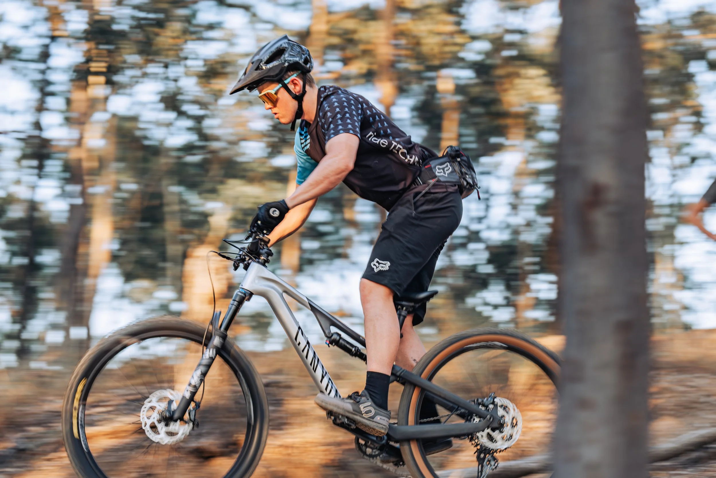 Gap Creek Reserve. Trail: Death Adder