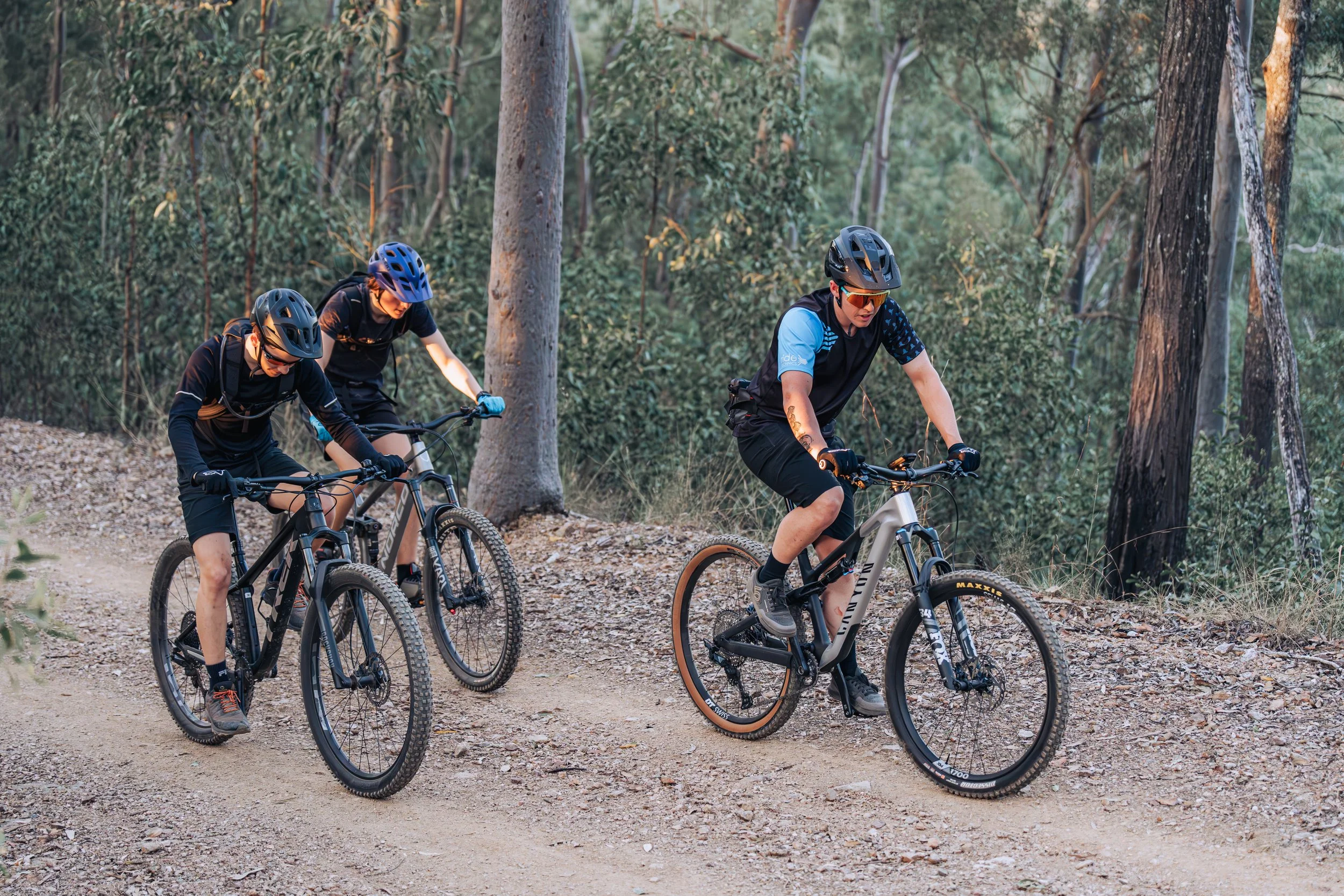 Gap Creek Reserve. Trail: Death Adder. Road: South Boundary