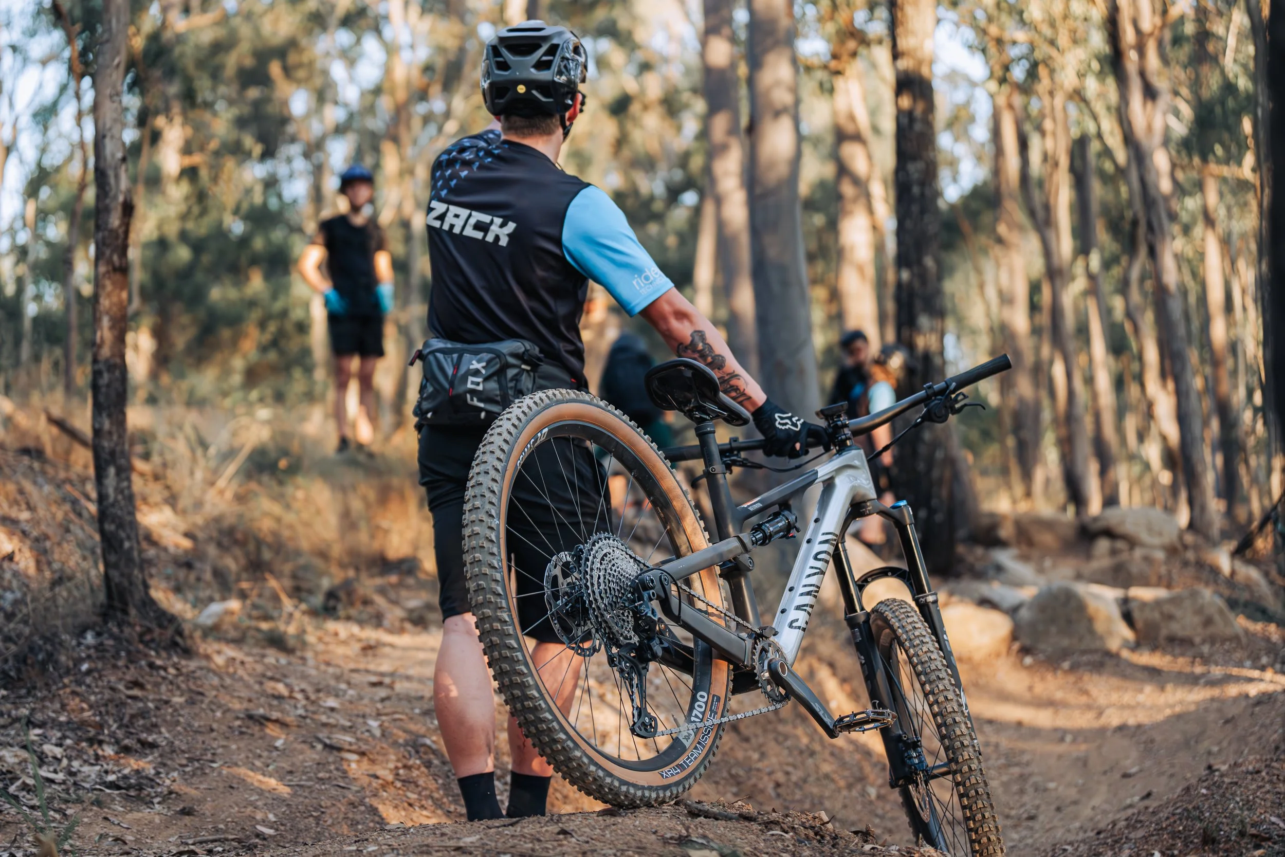 Gap Creek Reserve. Trail: Death Adder