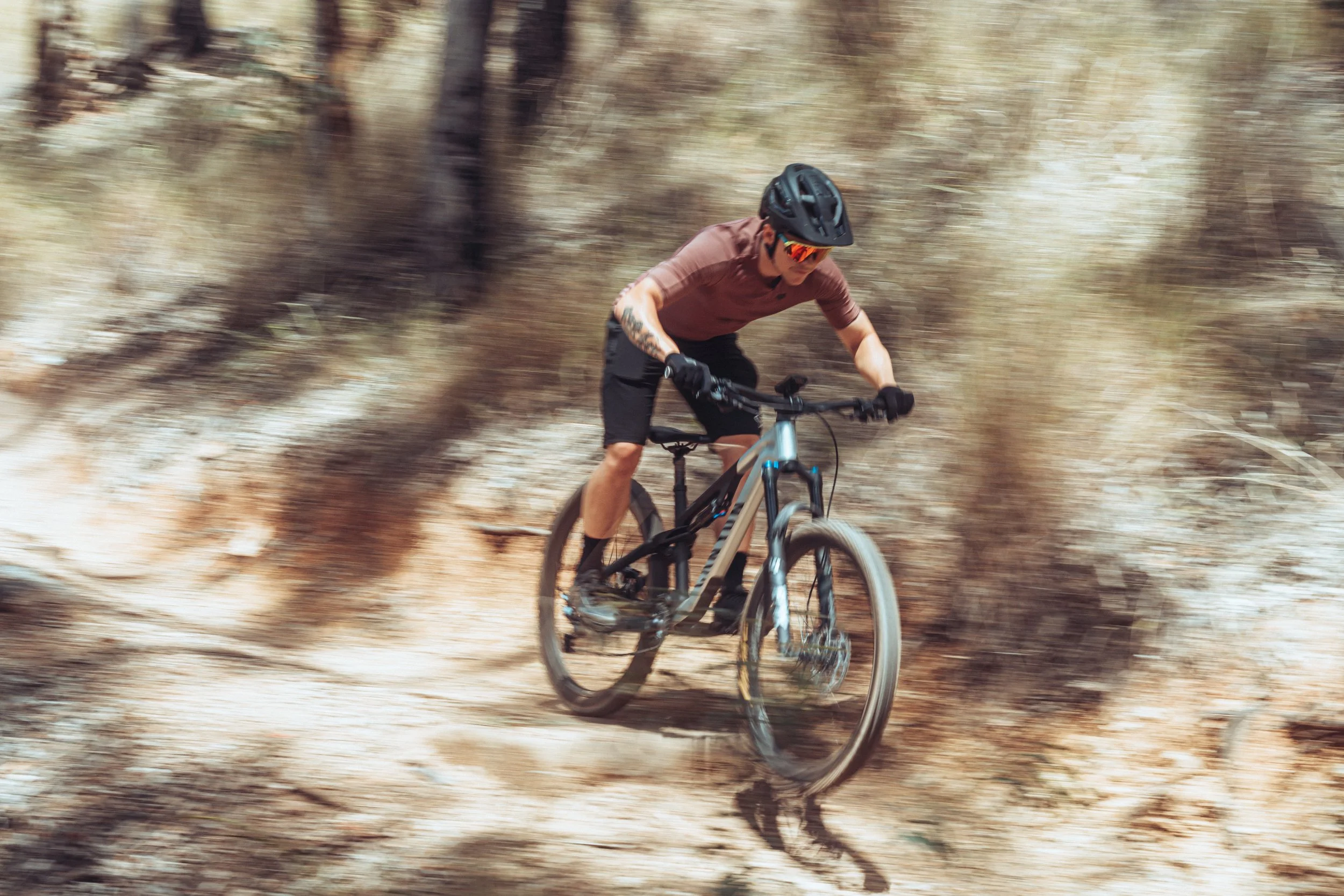 Ironbark Trails. Trail: Whipsnake