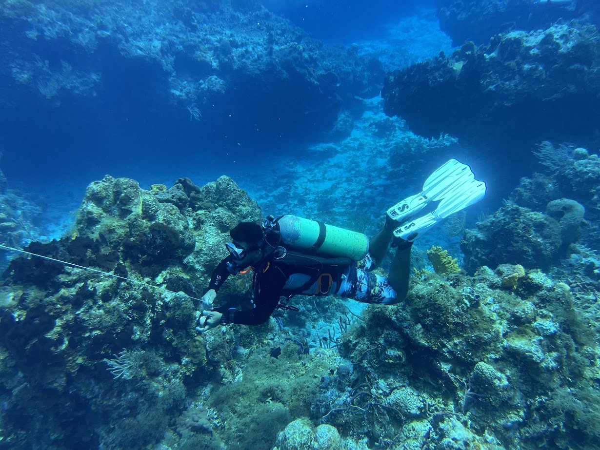 A scuba diver exploring a vibrant coral reef underwater.