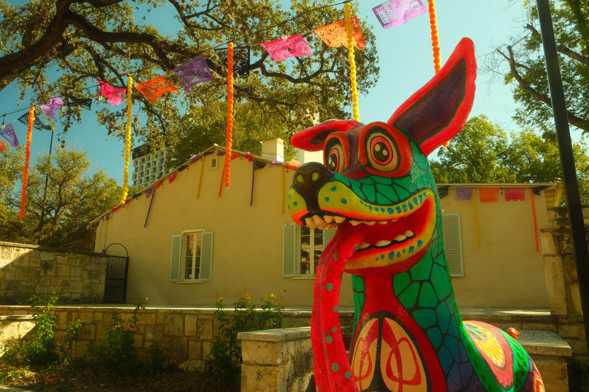 San Antonio 2025-18.jpg