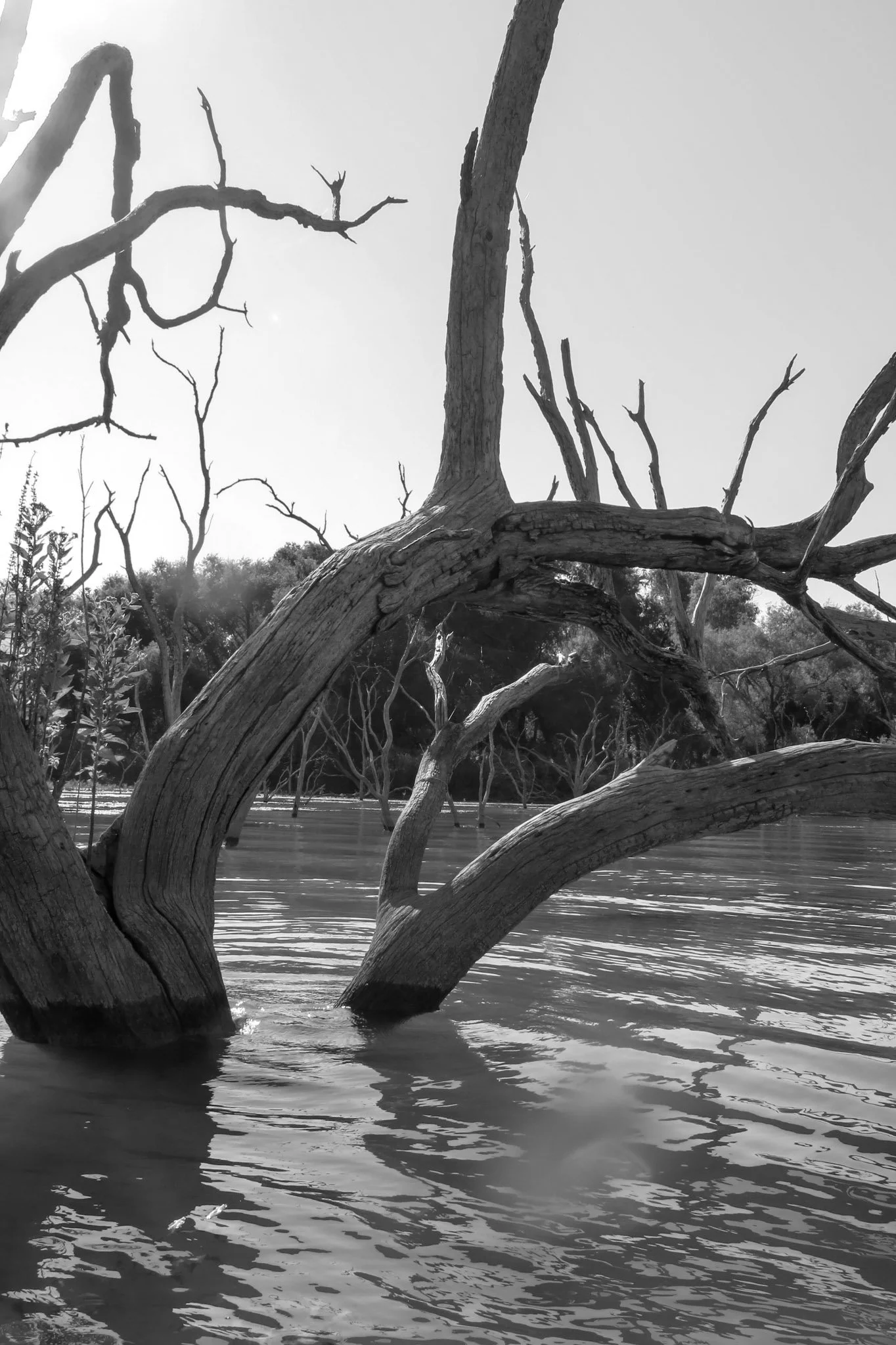 San Antonio 2025-27.jpg