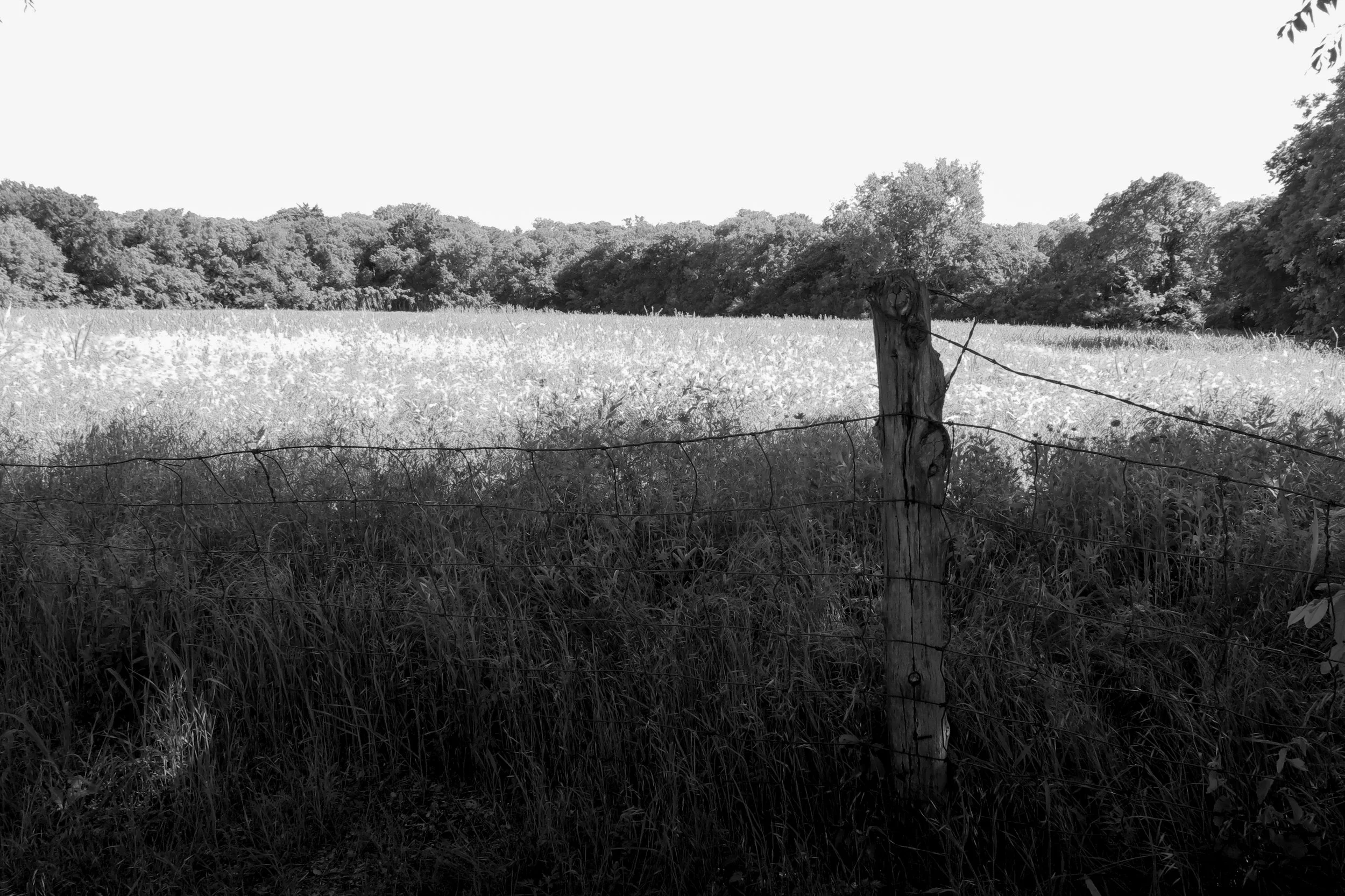 Penn Farm 2025-25.jpg