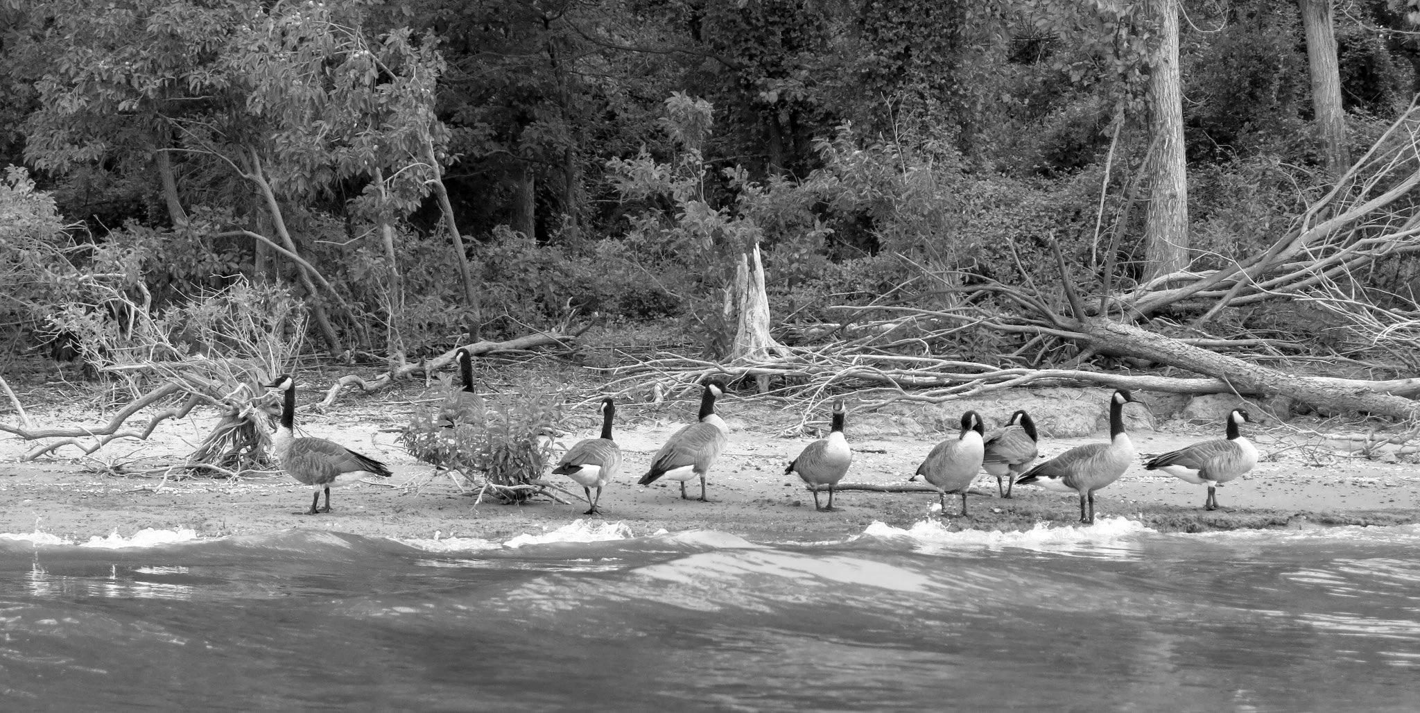 San Antonio 2025-33.jpg