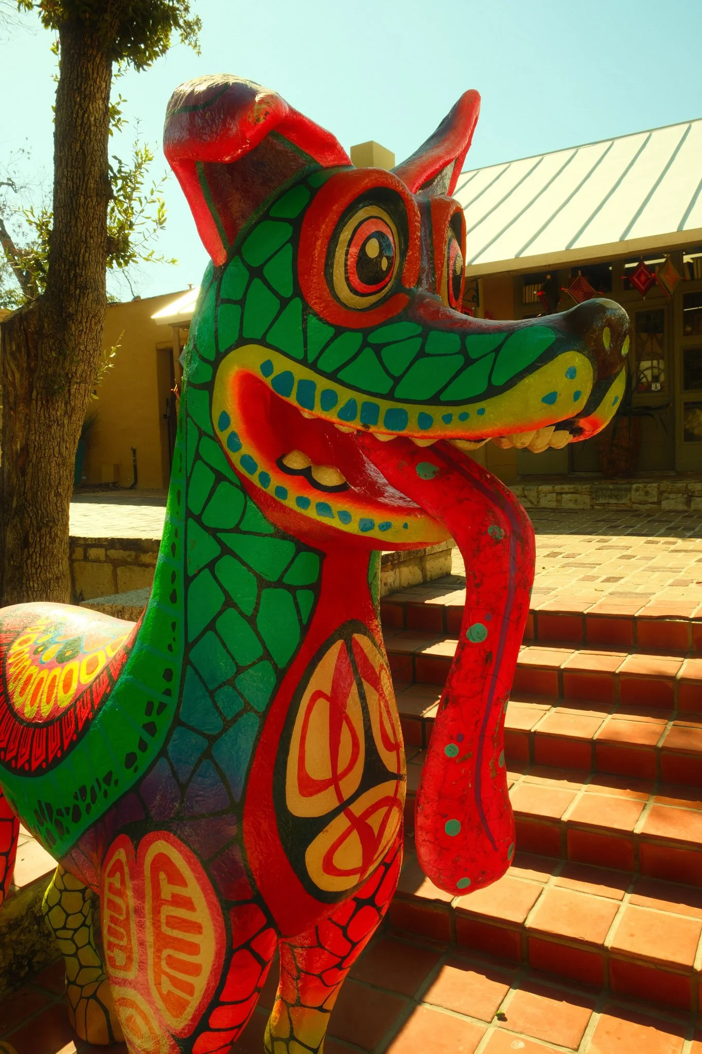 San Antonio 2025-19.jpg