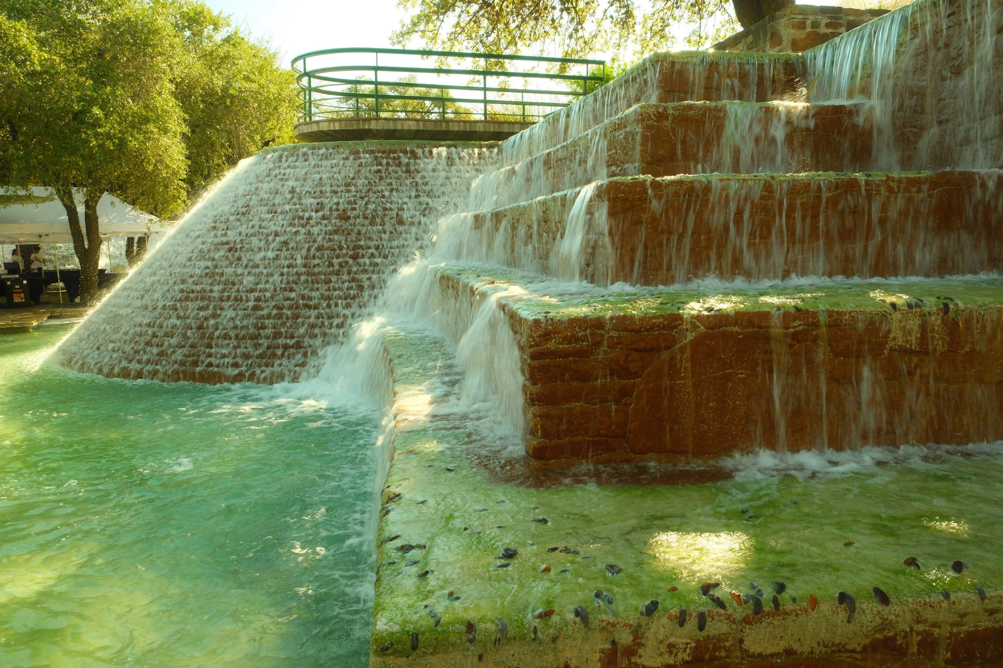 San Antonio 2025-23.jpg