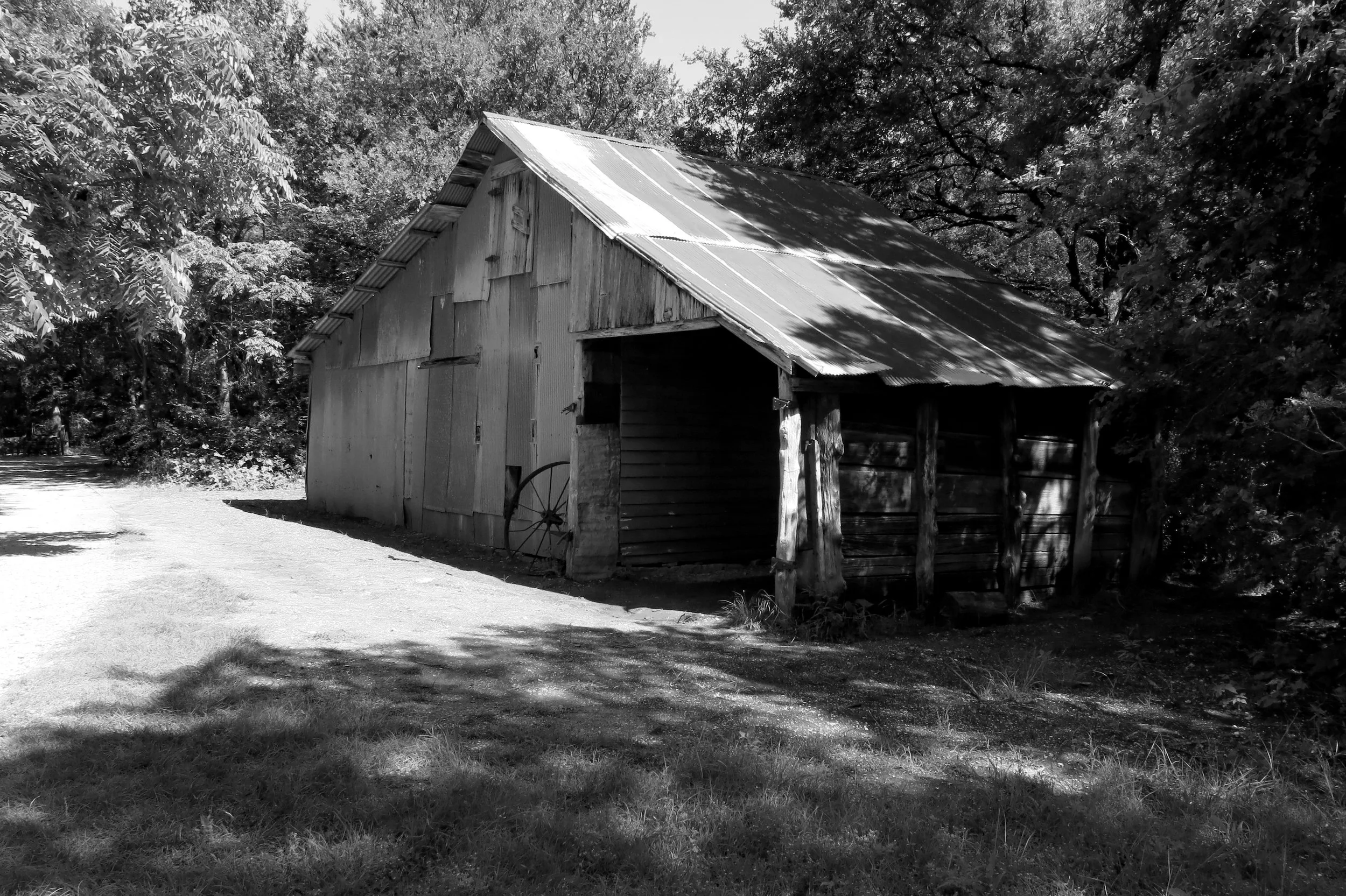 Penn Farm 2025-36.jpg