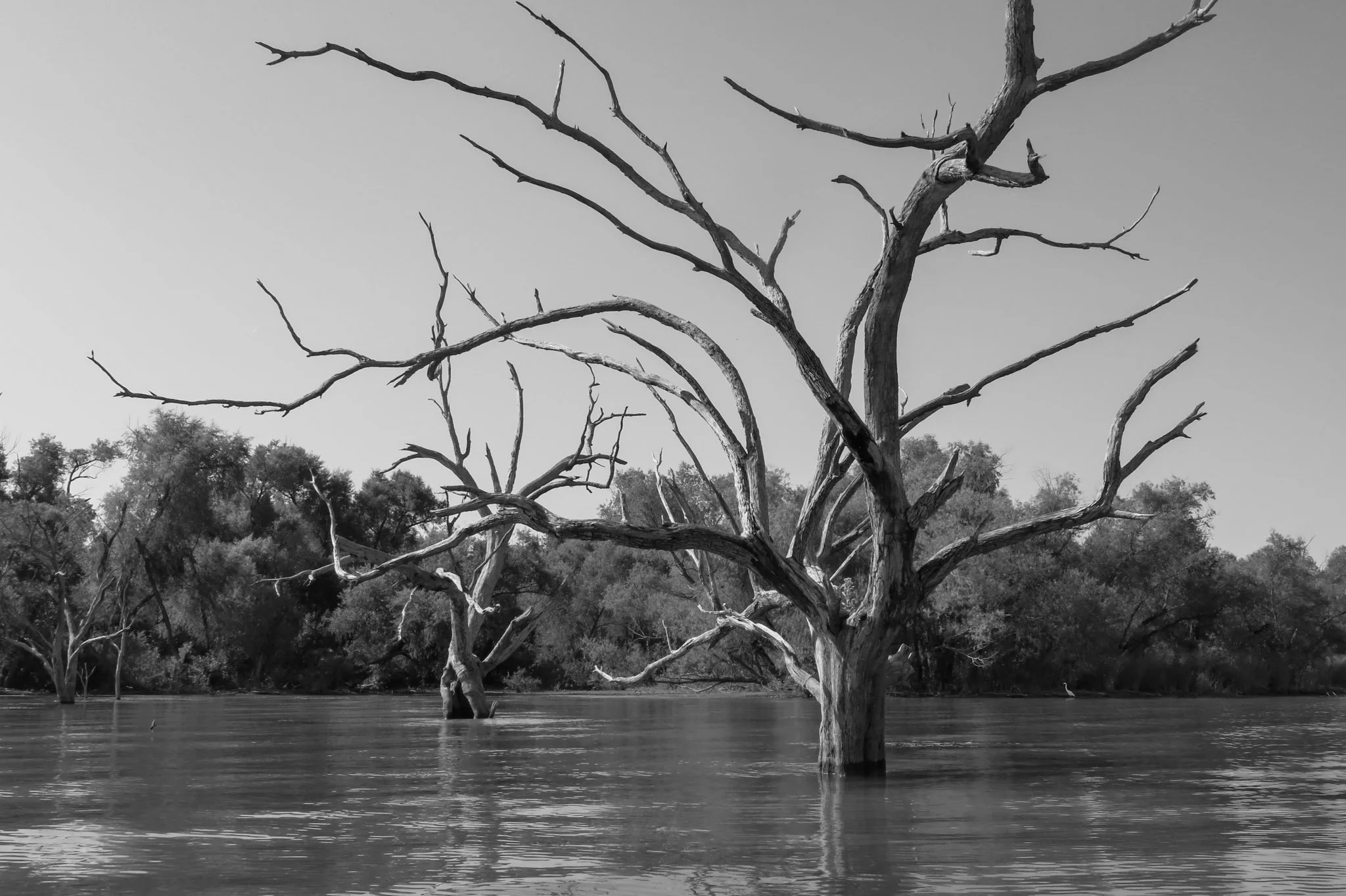 San Antonio 2025-26.jpg